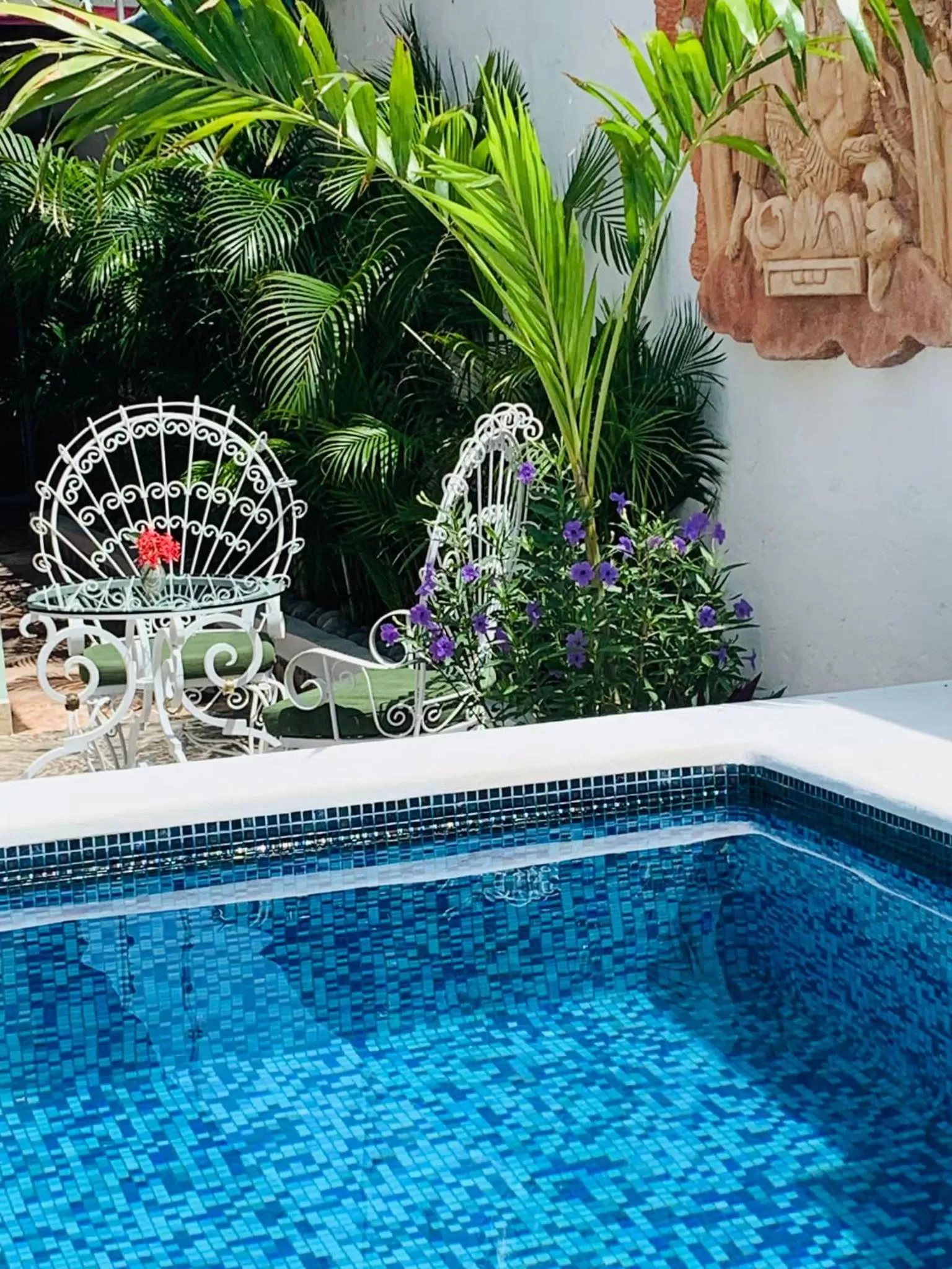 Swimming Pool in The Quetzal