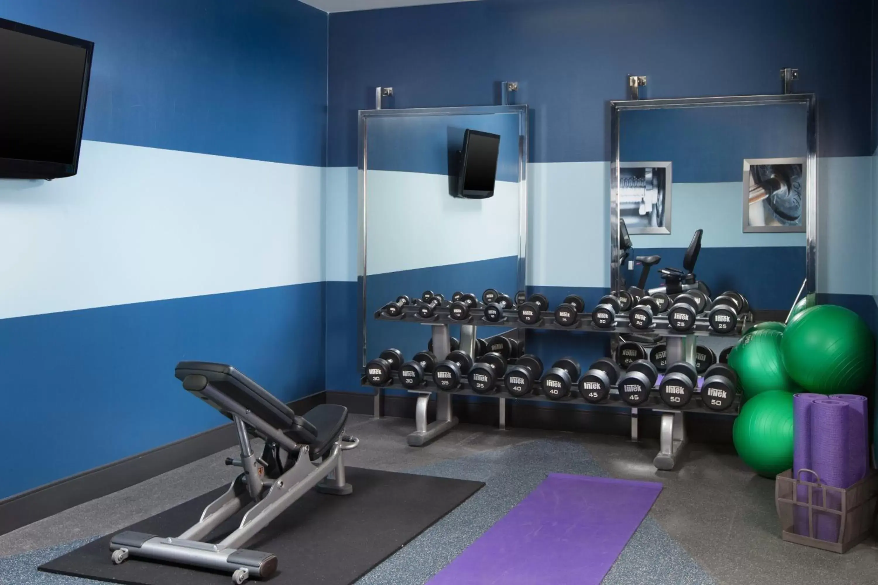 Fitness centre/facilities, Fitness Center/Facilities in Four Points by Sheraton San Jose Airport