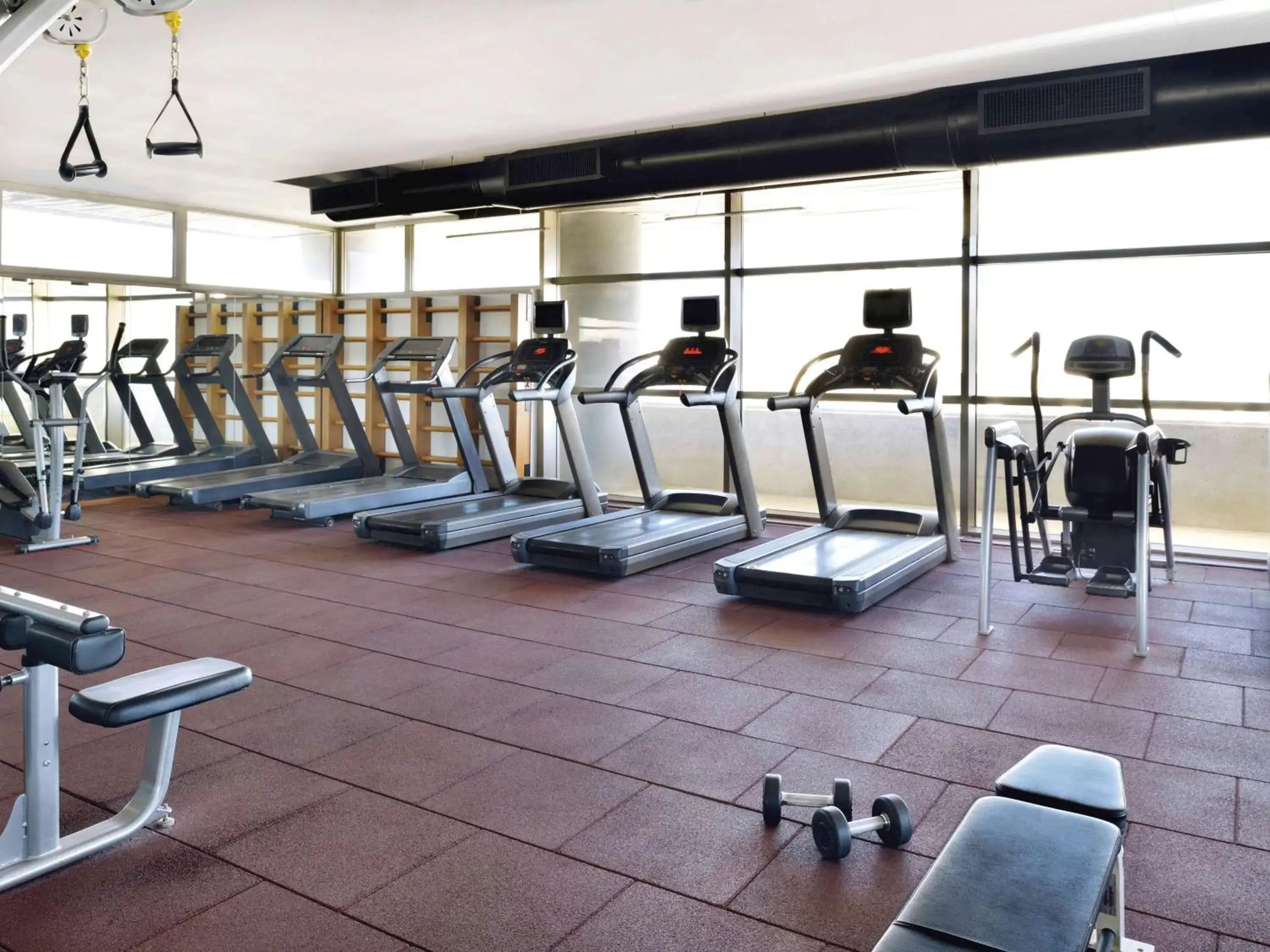 Activities, Fitness Center/Facilities in Mövenpick Hotel Amman