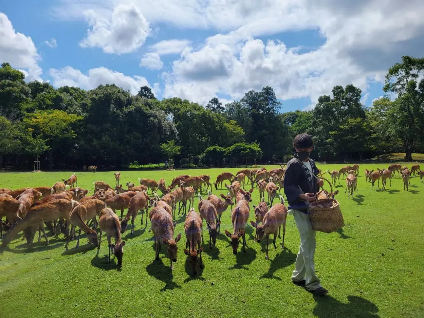 Animals in Asukasou Hotel