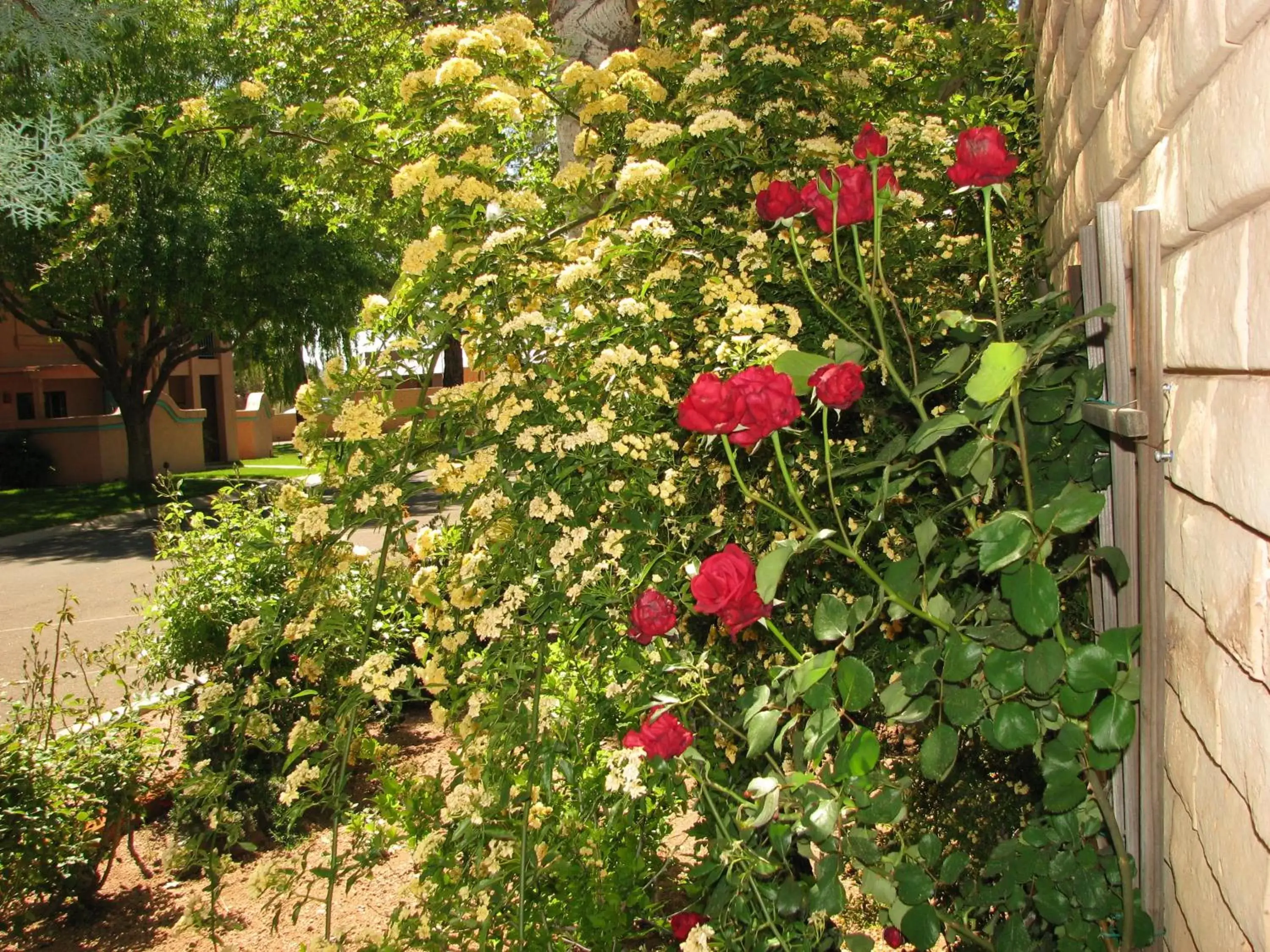 Decorative detail, Garden in Villas of Sedona, a VRI resort