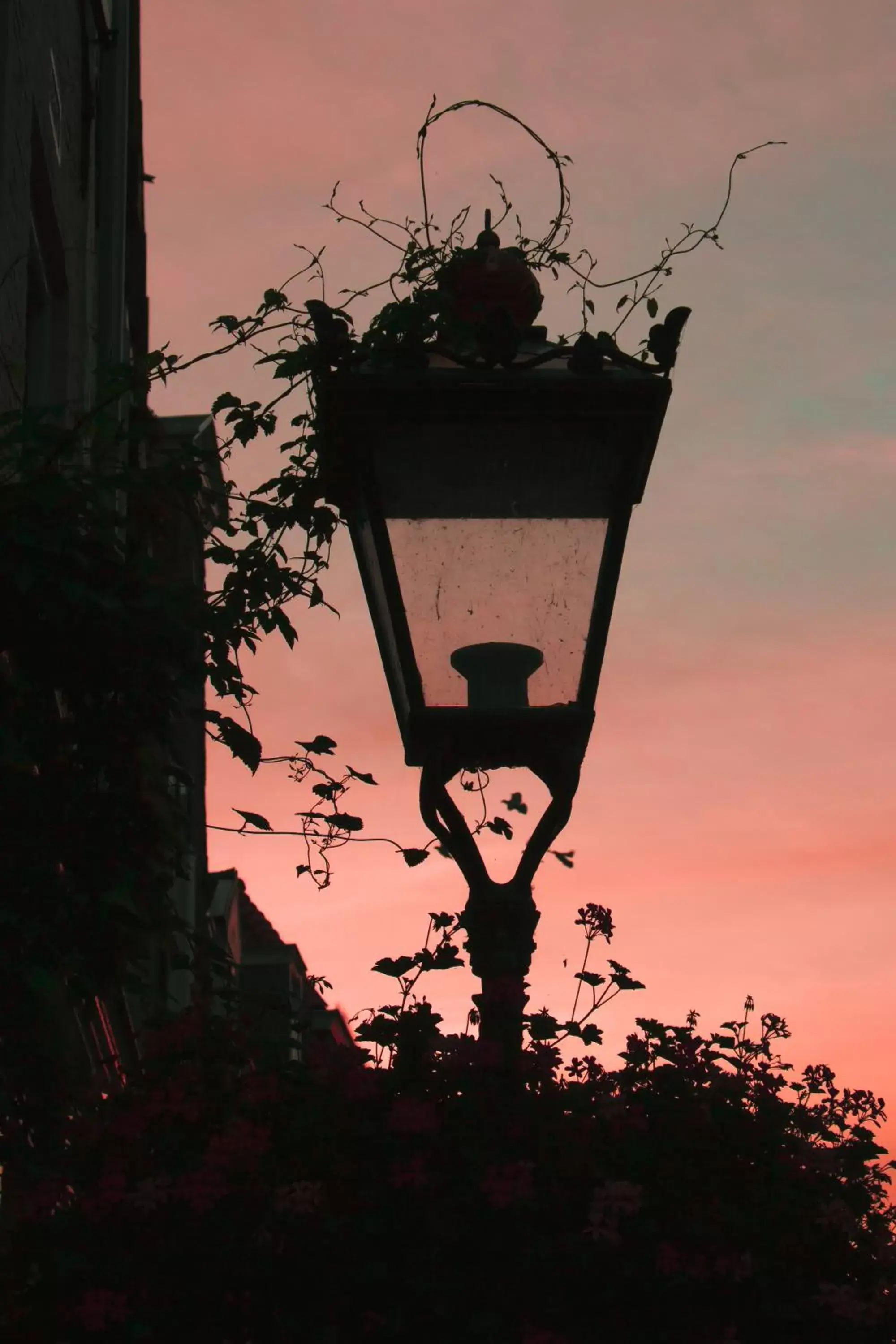 Sunrise, Sunrise/Sunset in De Stadsboerderij