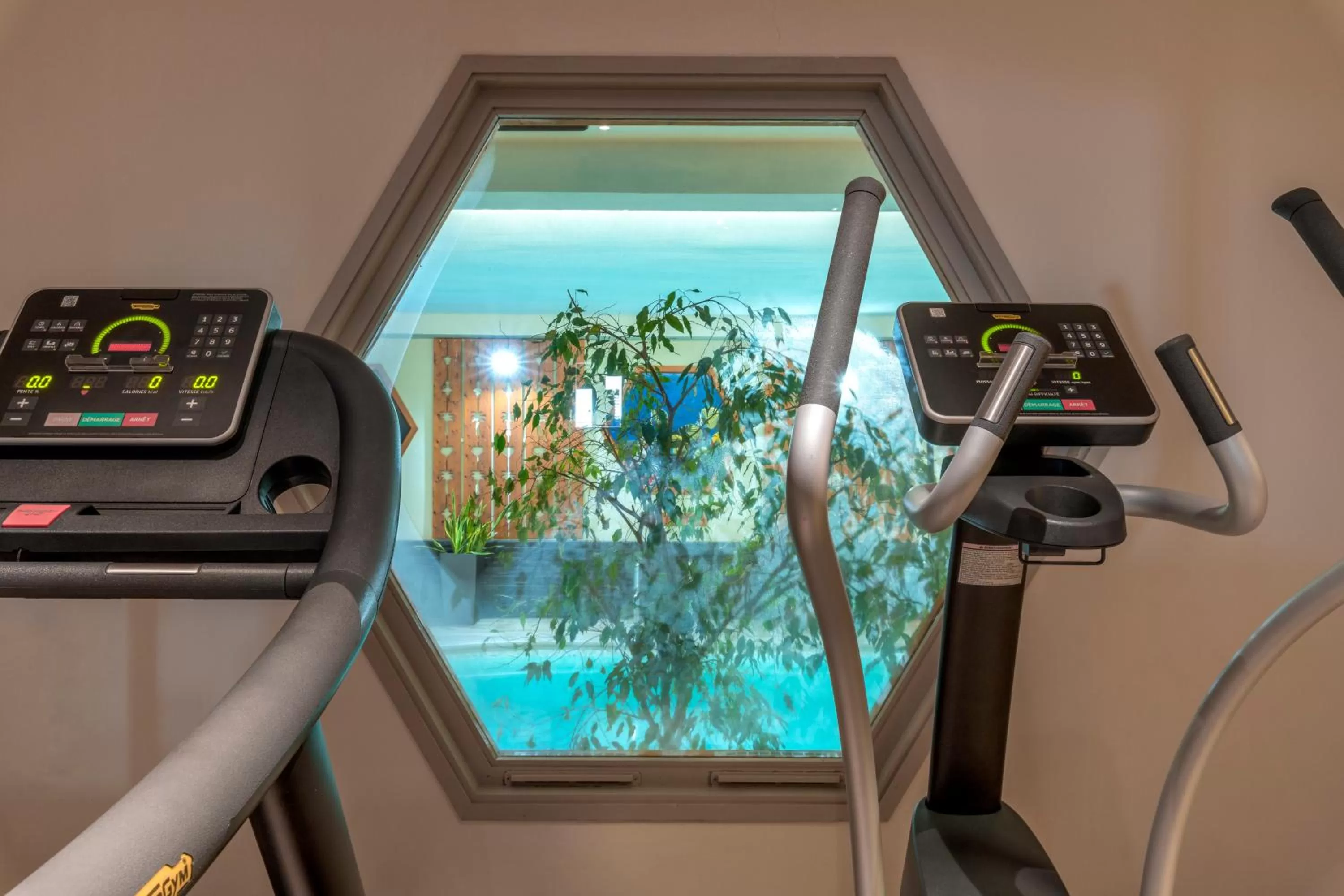 Fitness centre/facilities, Fitness Center/Facilities in Hotel Les Arolles