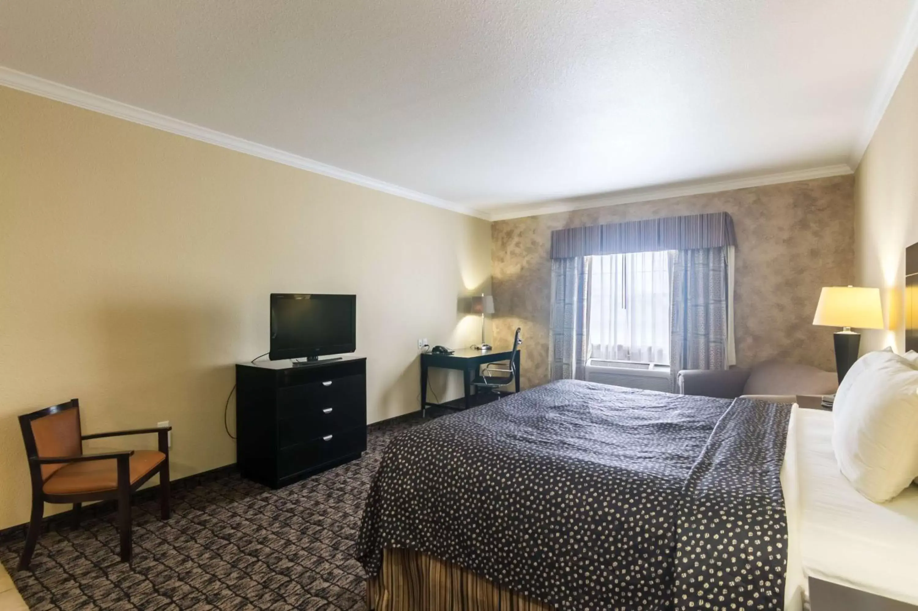 TV and multimedia, Bed in Motel 6-Colorado City, TX