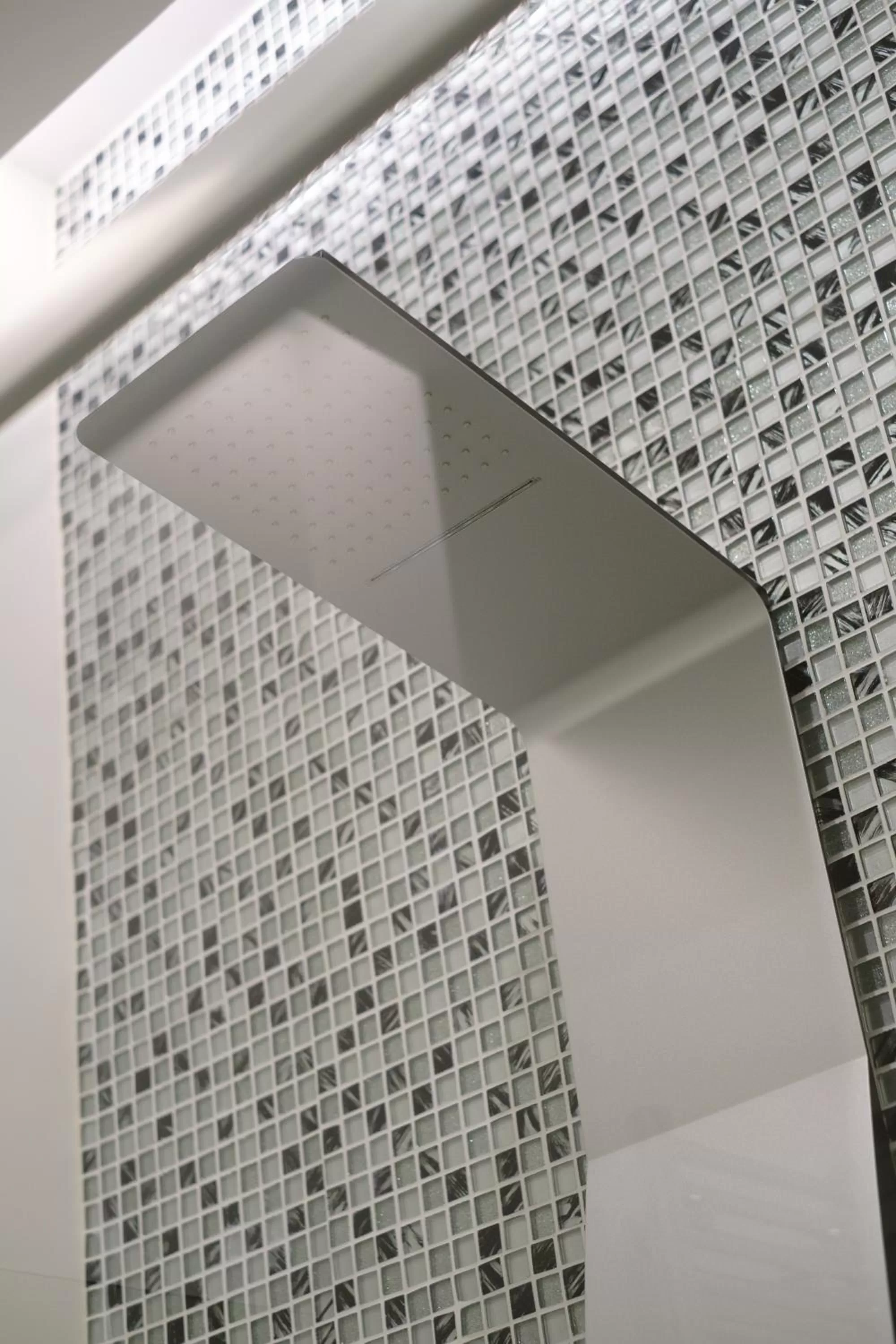 Shower, Bathroom in Domea Superior Rooms Bed and Breakfast