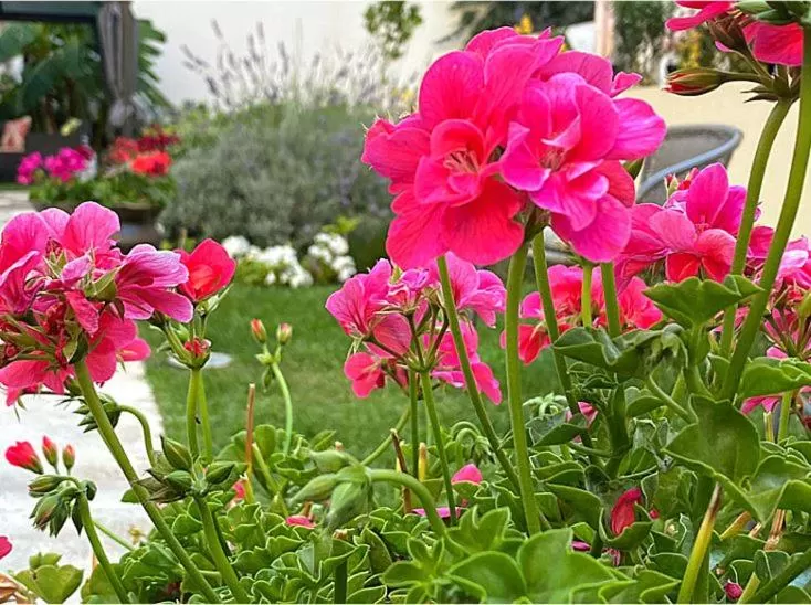 TM Luxury Apartments Lisbon