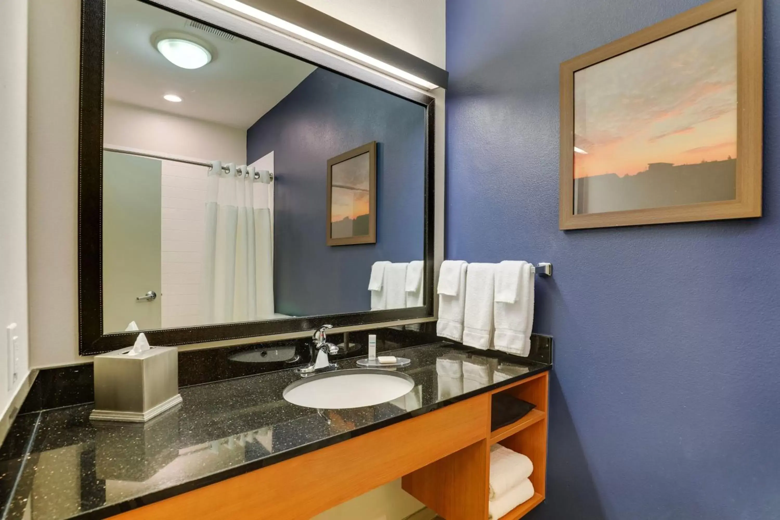 Bathroom in Fairfield Inn & Suites by Marriott Fort Worth I-30 West Near NAS JRB