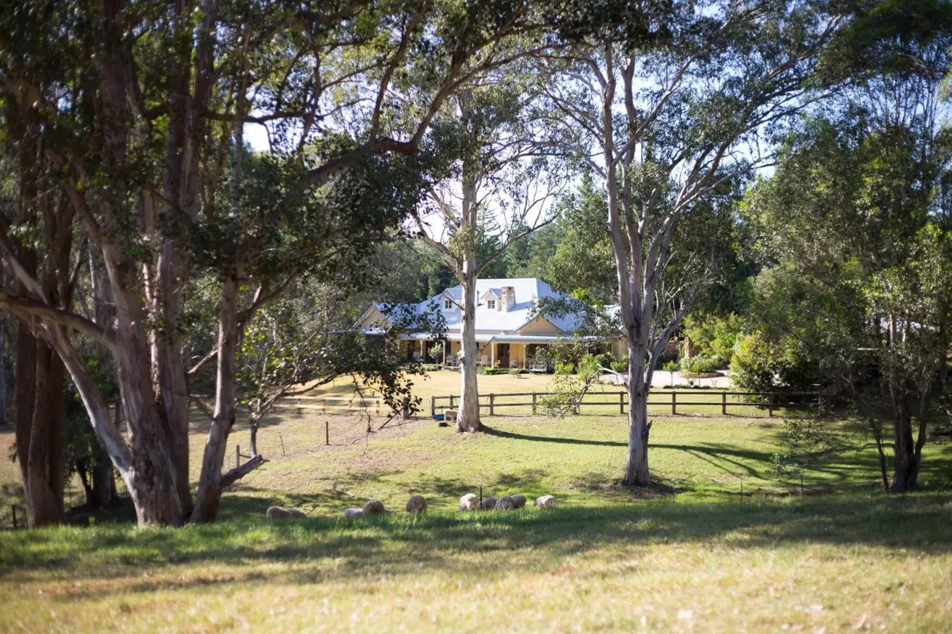 Property Building in The Willows at Kurrajong