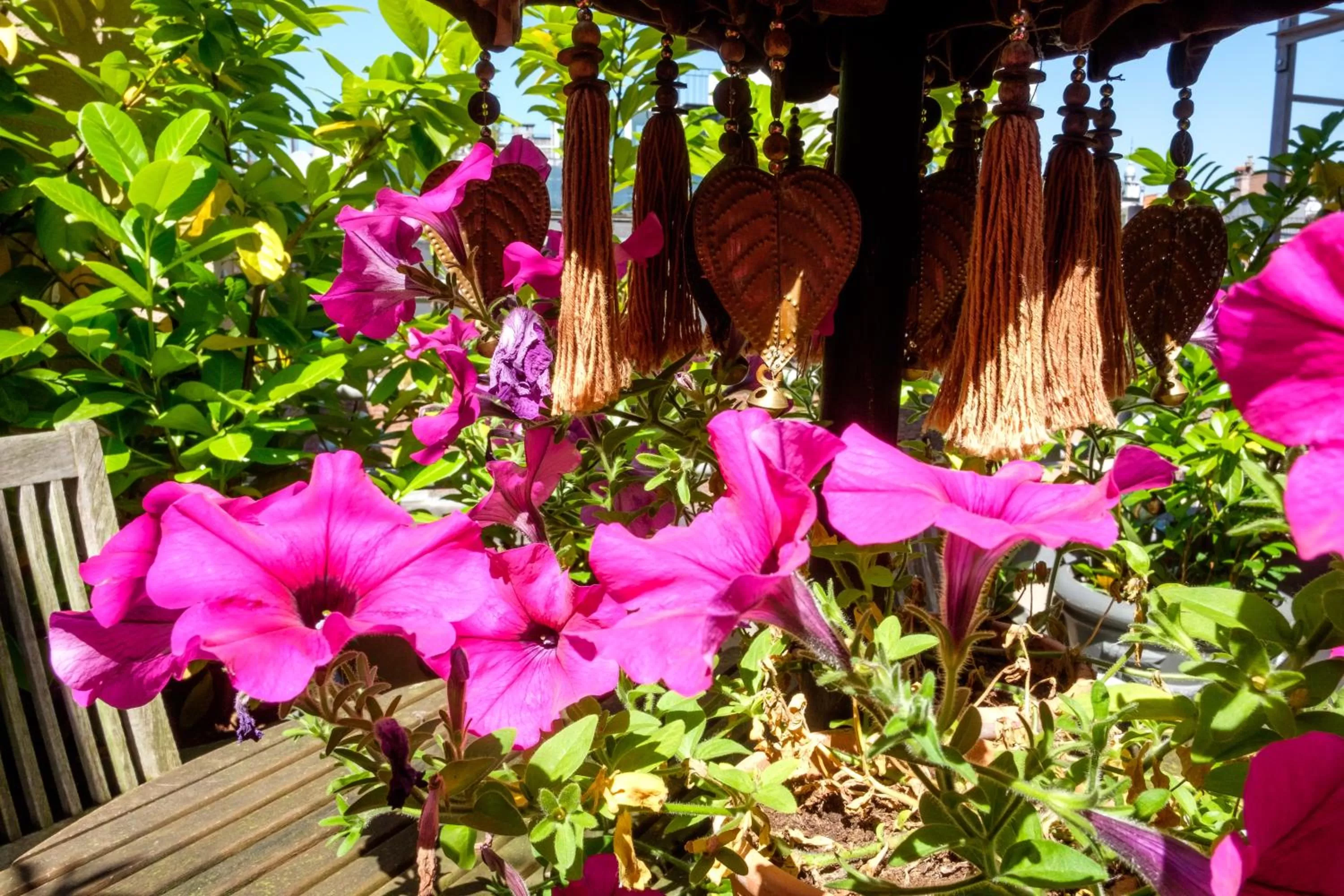 Spring in Hotel Diamonds and Pearls