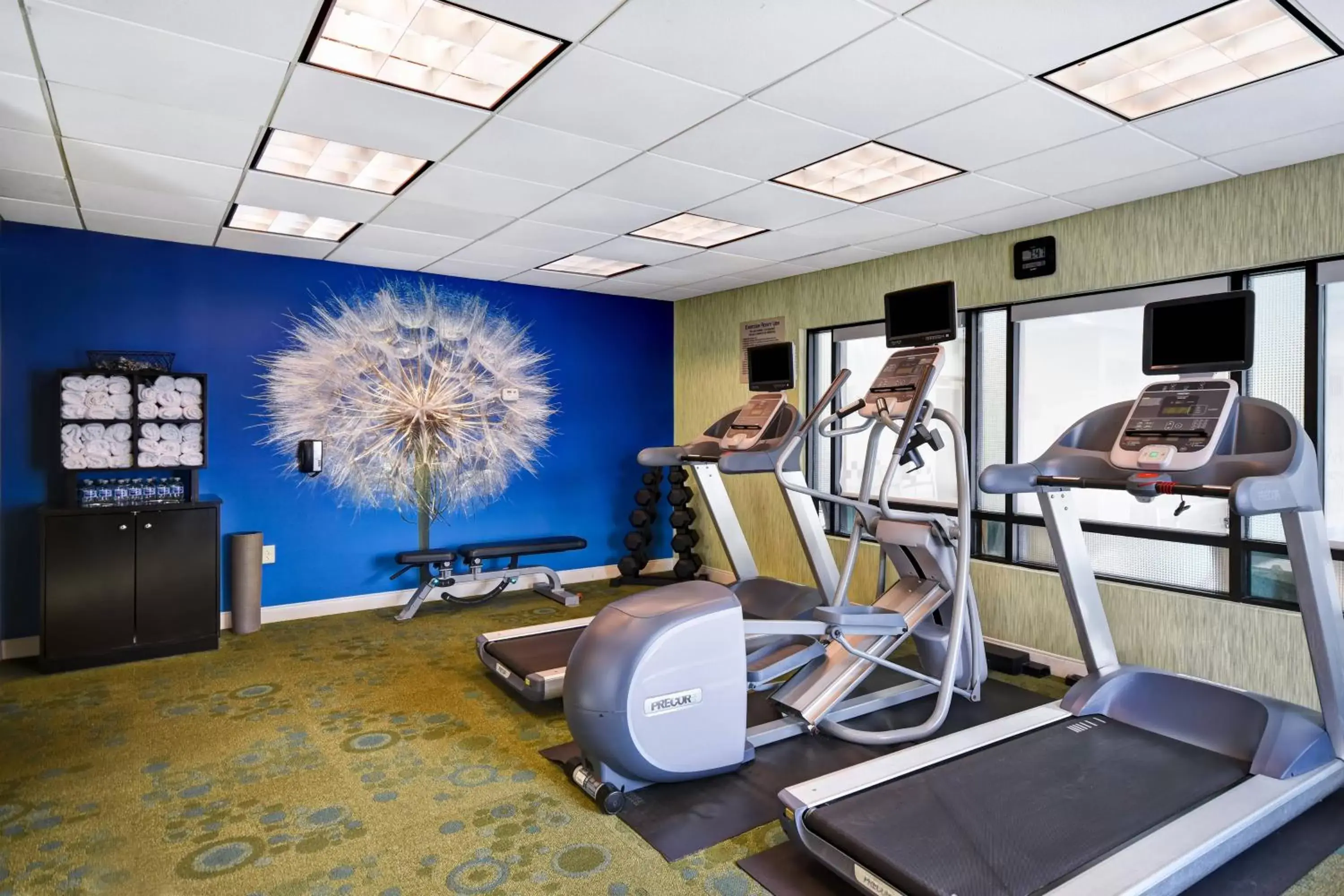 Fitness centre/facilities, Fitness Center/Facilities in SpringHill Suites by Marriott Baltimore BWI Airport