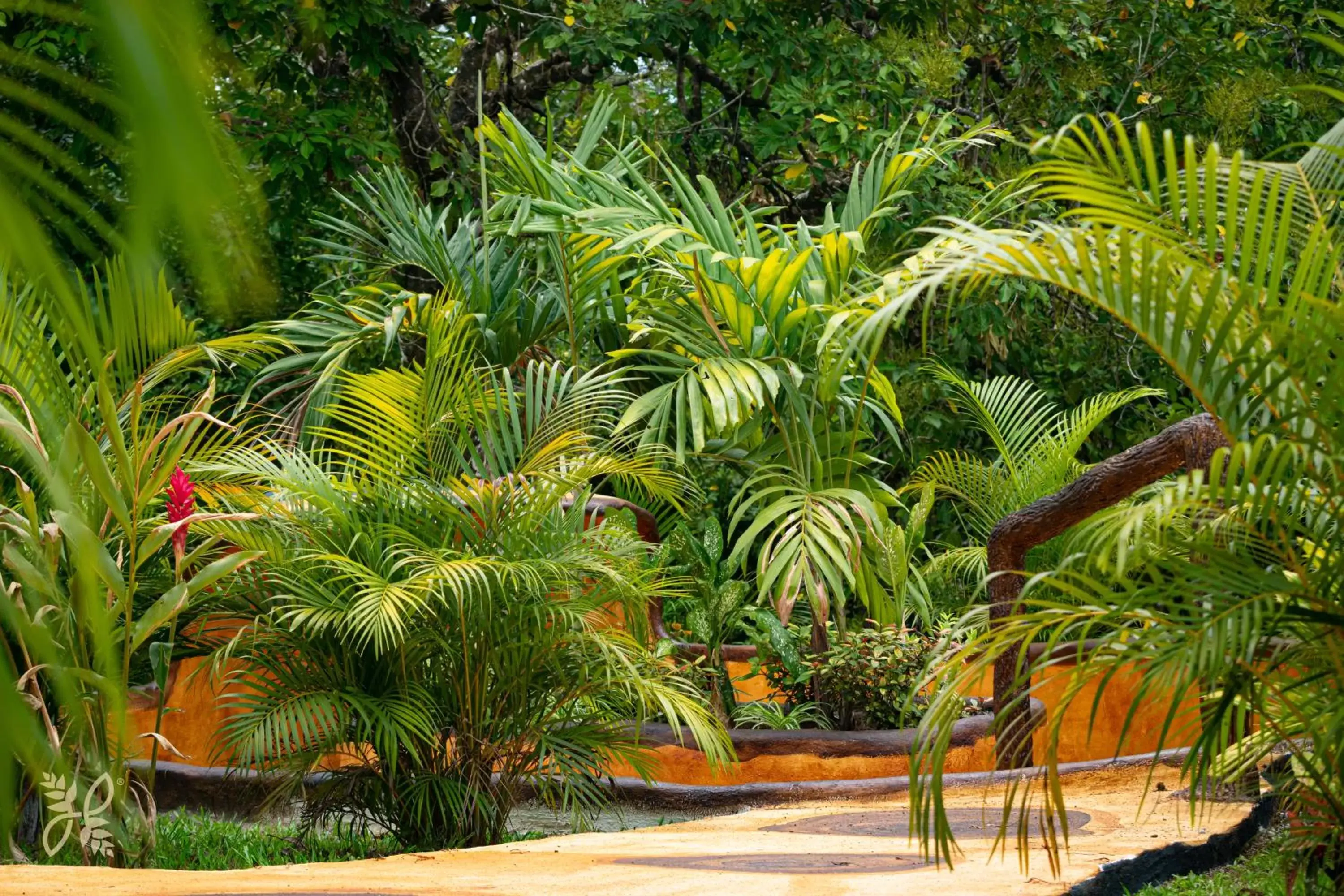 Hot Spring Bath, Garden in Hotel Heliconias Nature Inn & Hot Springs