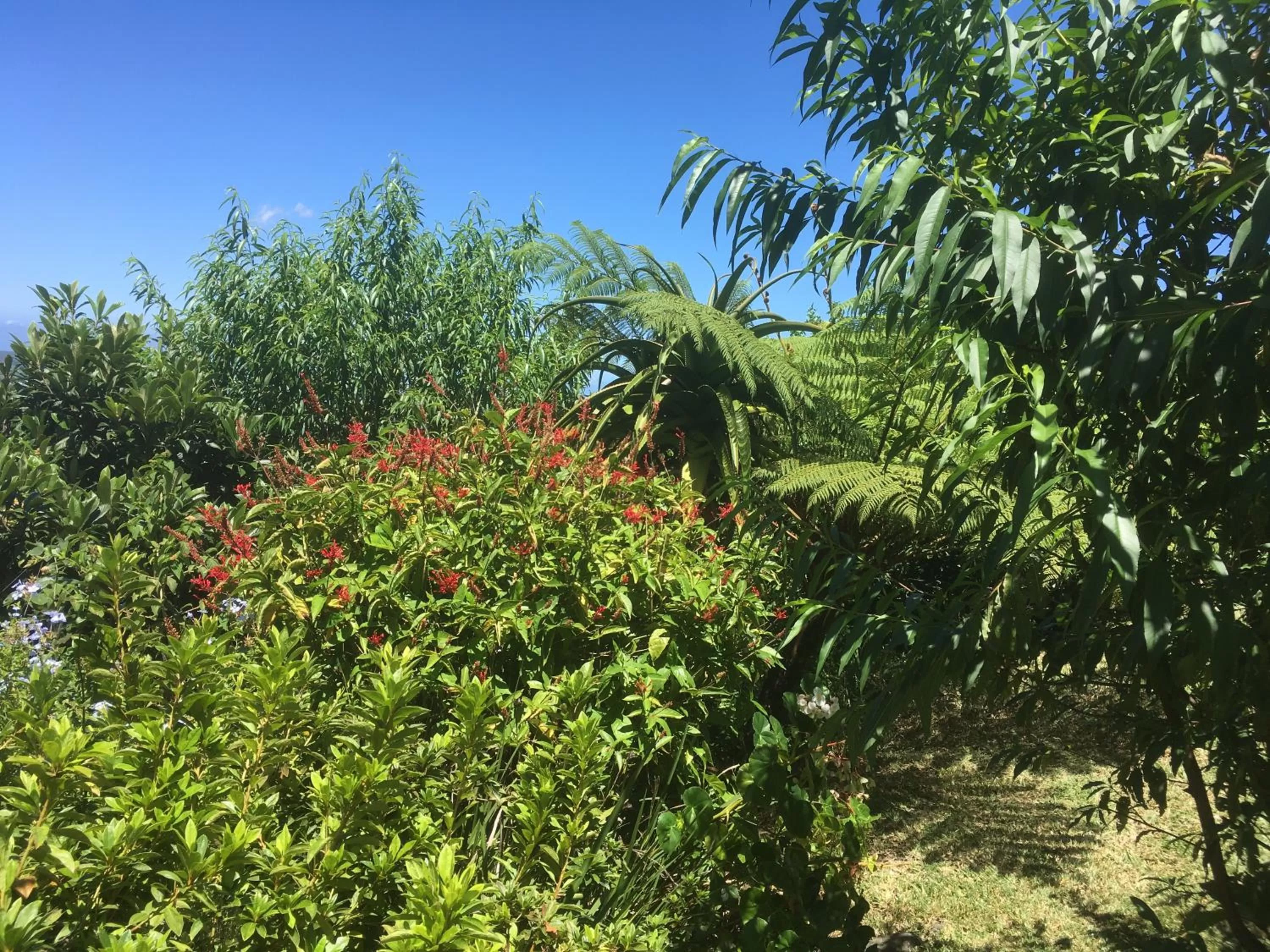 Natural landscape in Caloupilé