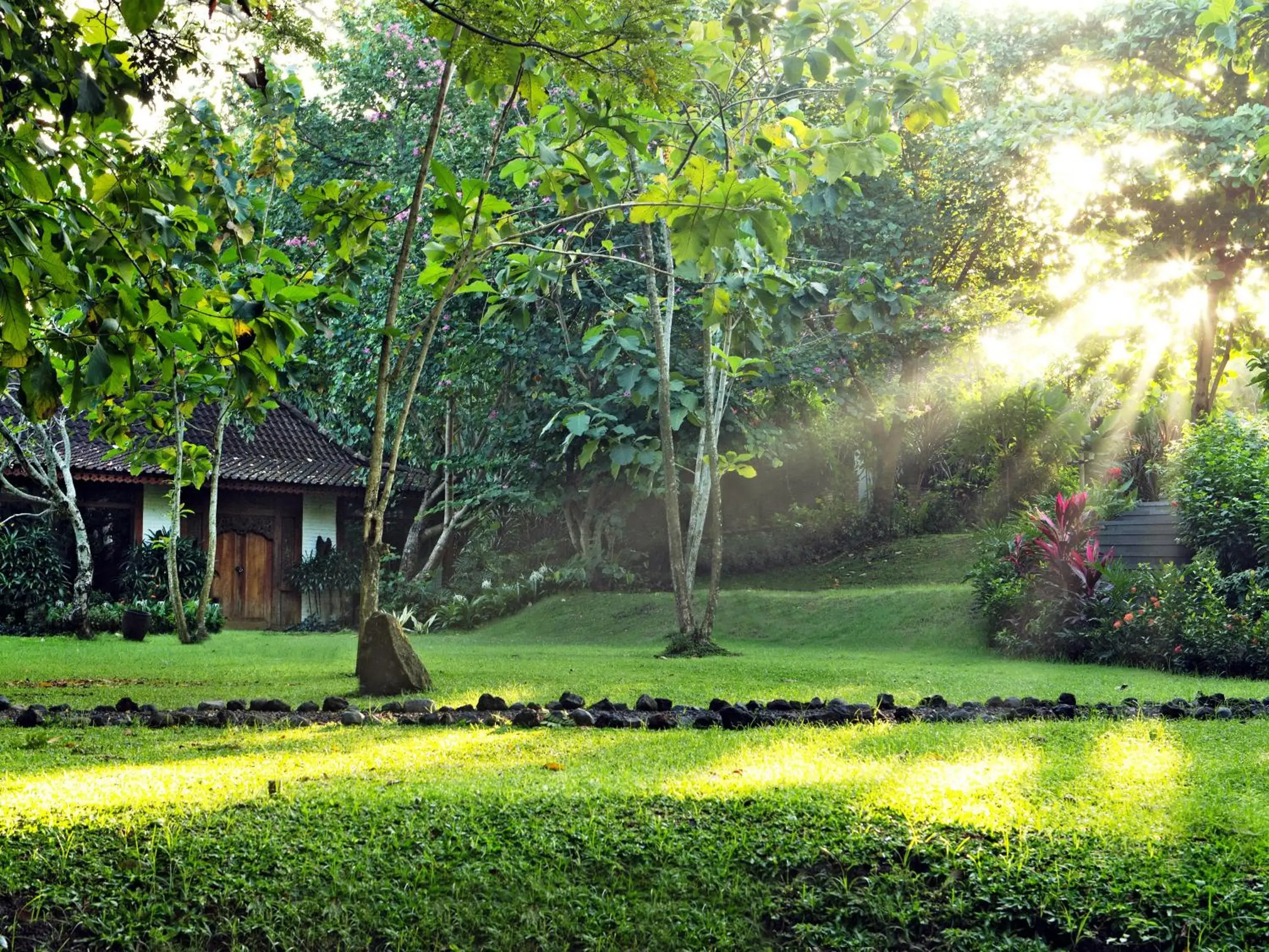 Garden in Villa Canggu by Plataran