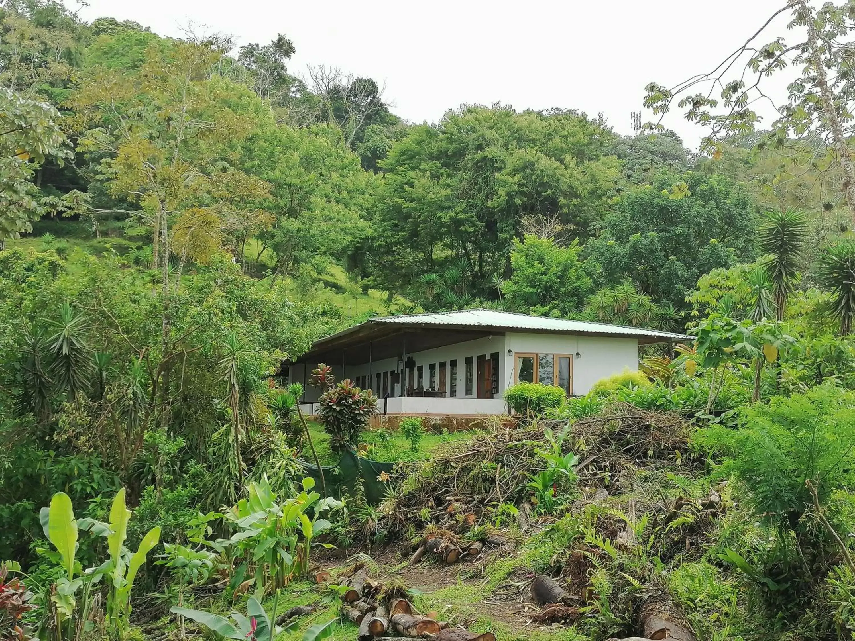 Property Building in La Ceiba Tree Lodge