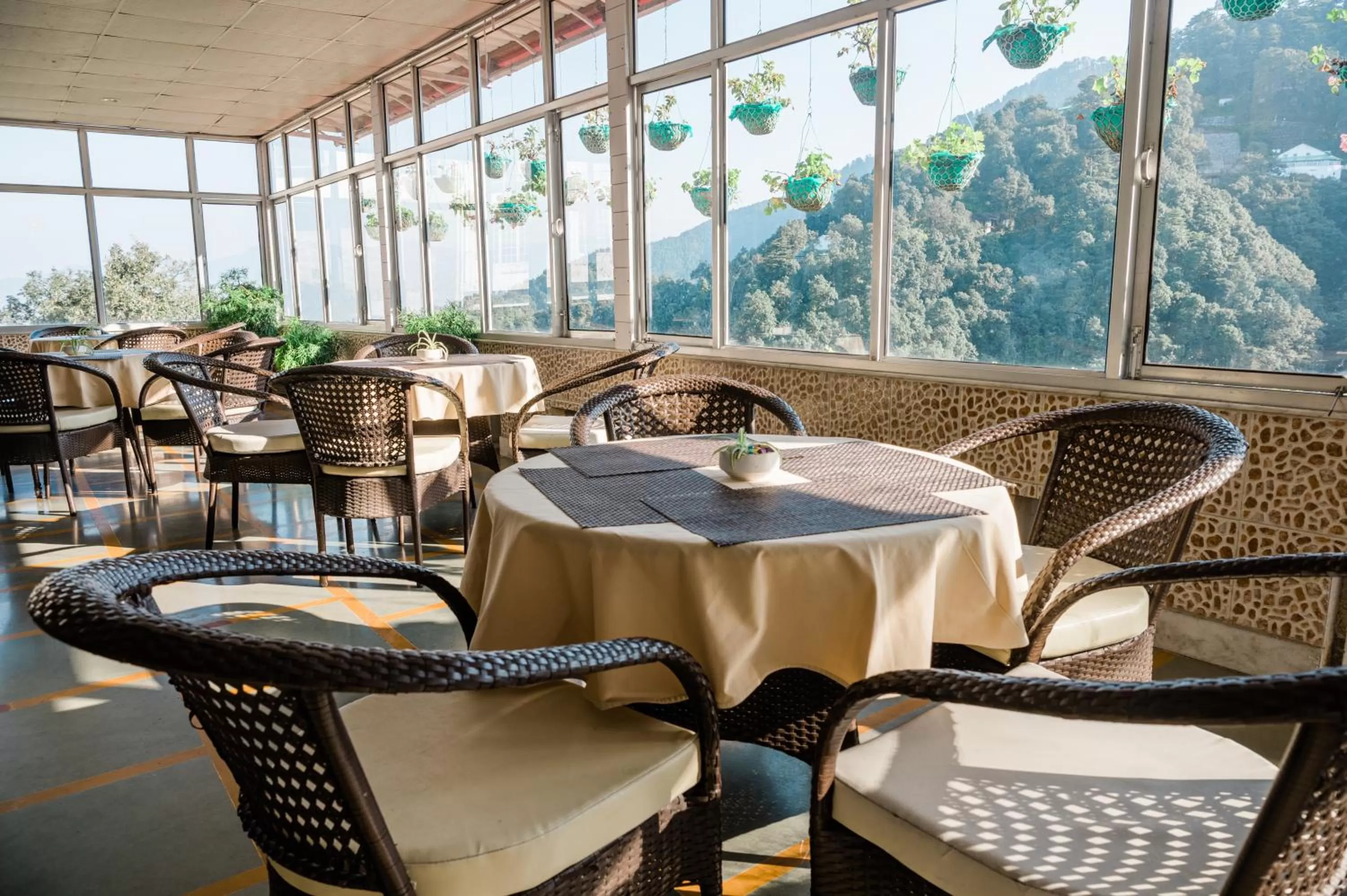 Restaurant/places to eat in Hotel Shiva Continental