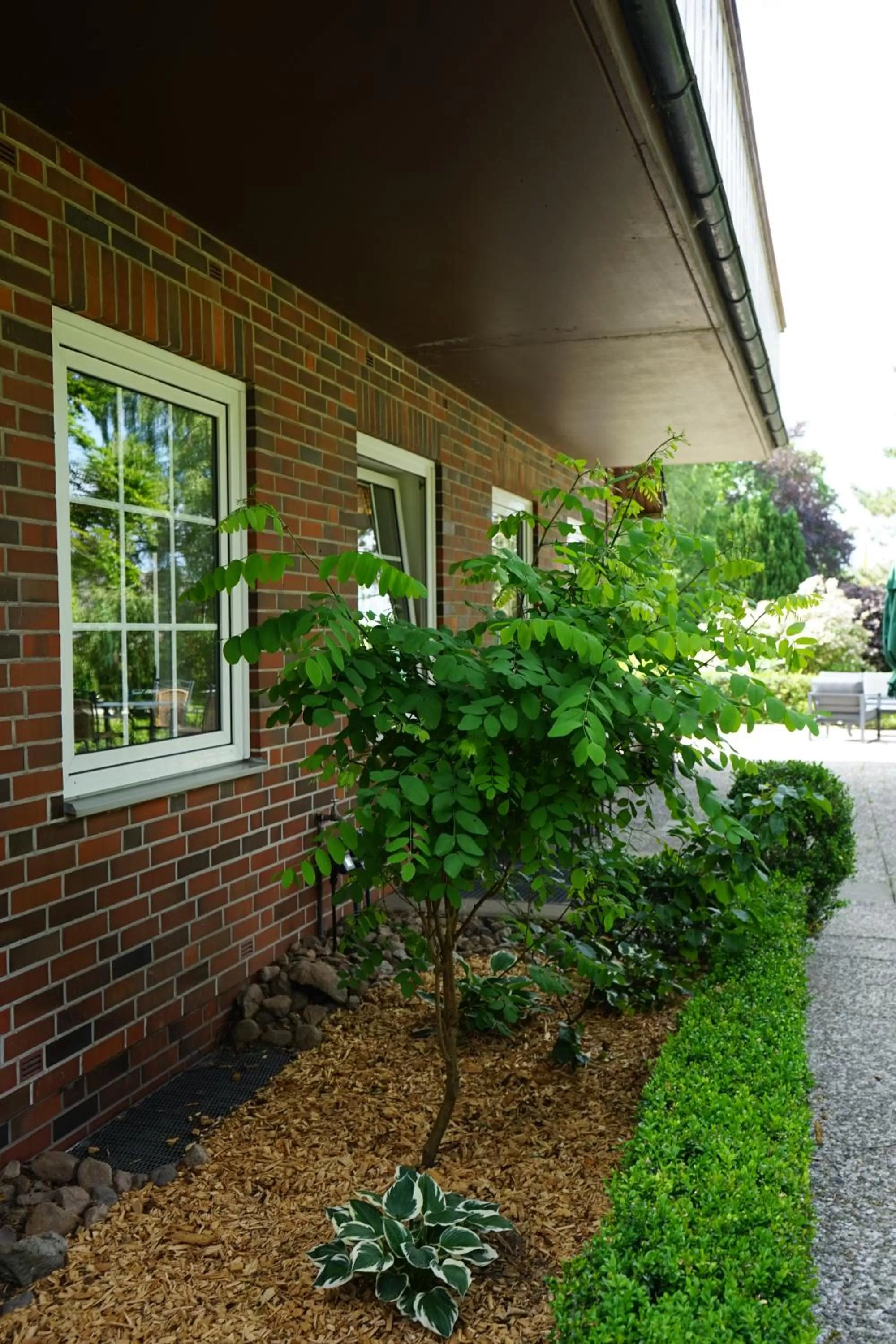 Garden in Niedersachsen Hof