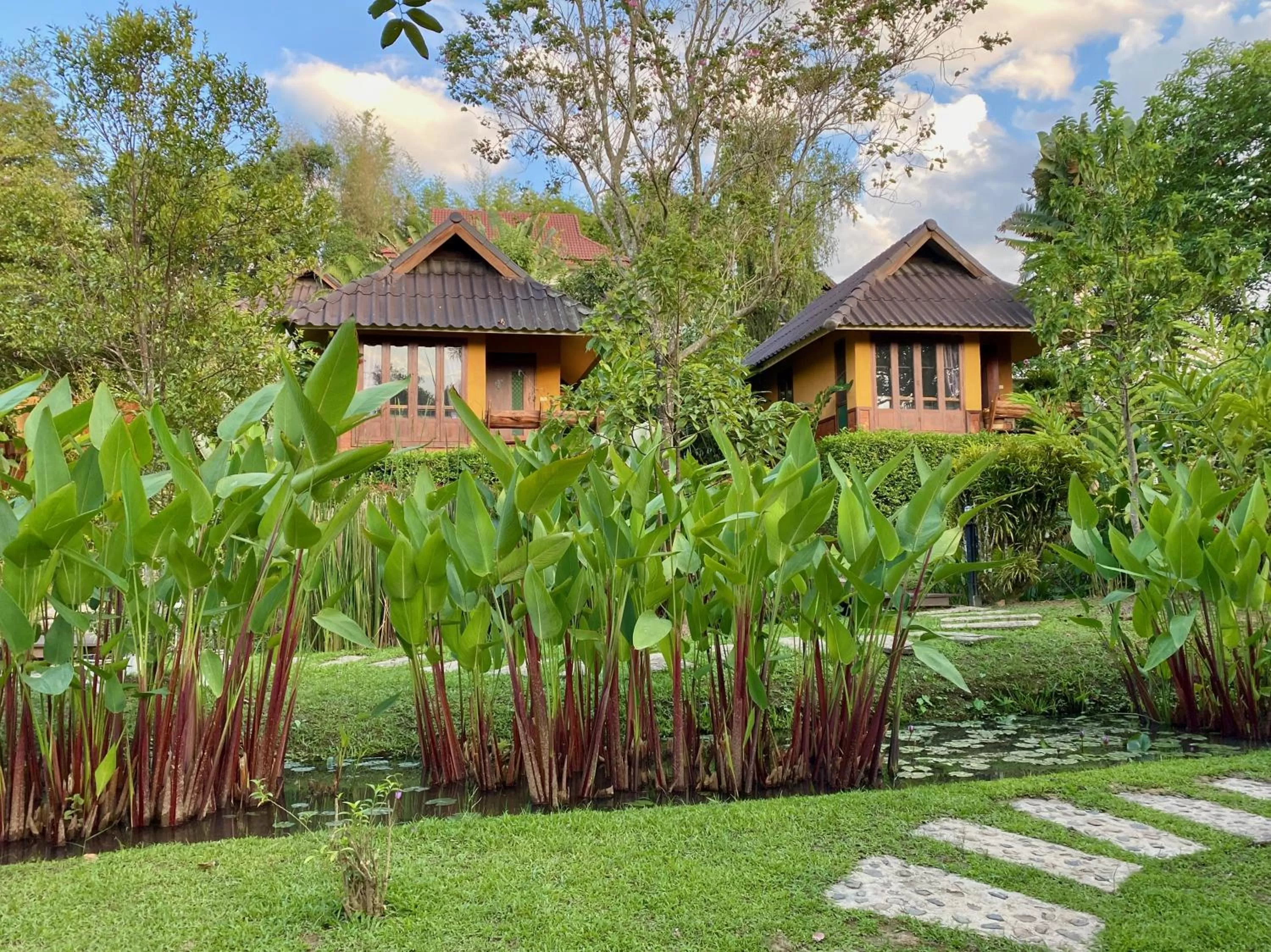 Garden in Pura Vida Pai Resort
