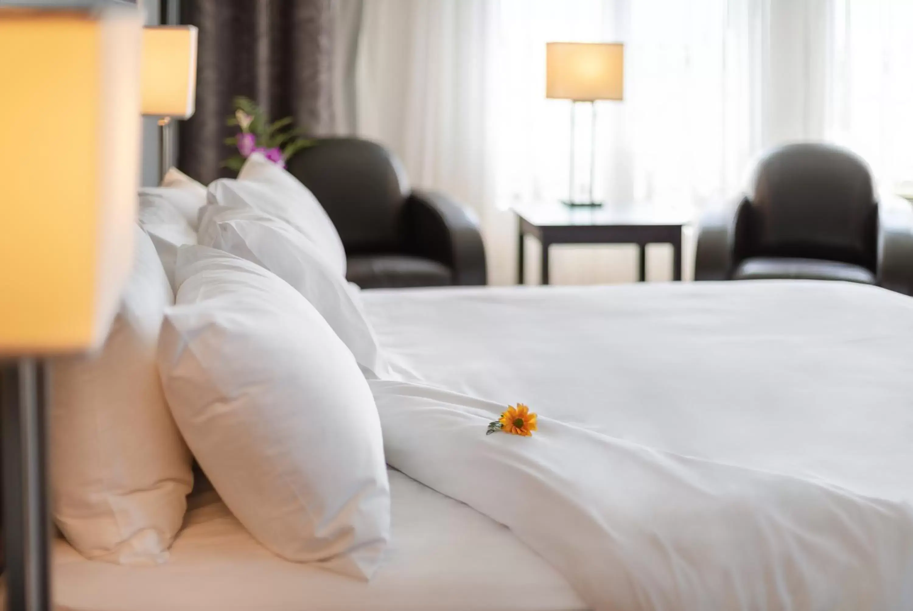 Decorative detail, Bed in Imperia Hotel & Suites Saint-Eustache