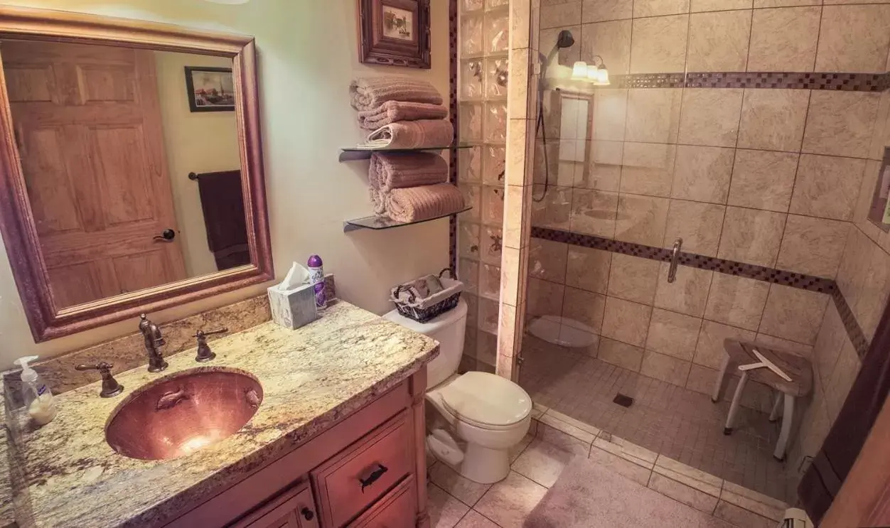 Bathroom in Elktrace Bed and Breakfast