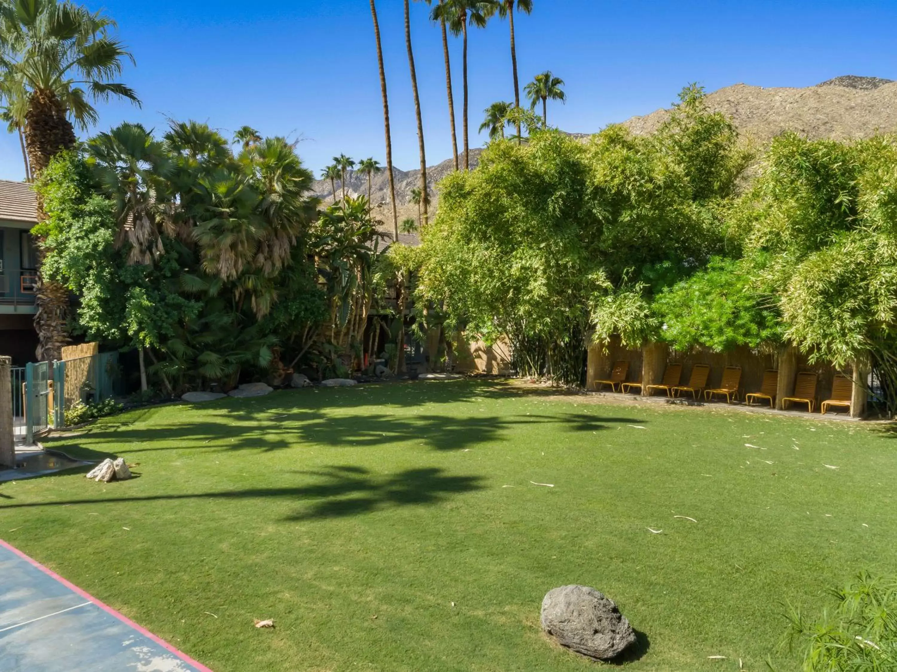 Garden in Caliente Tropics