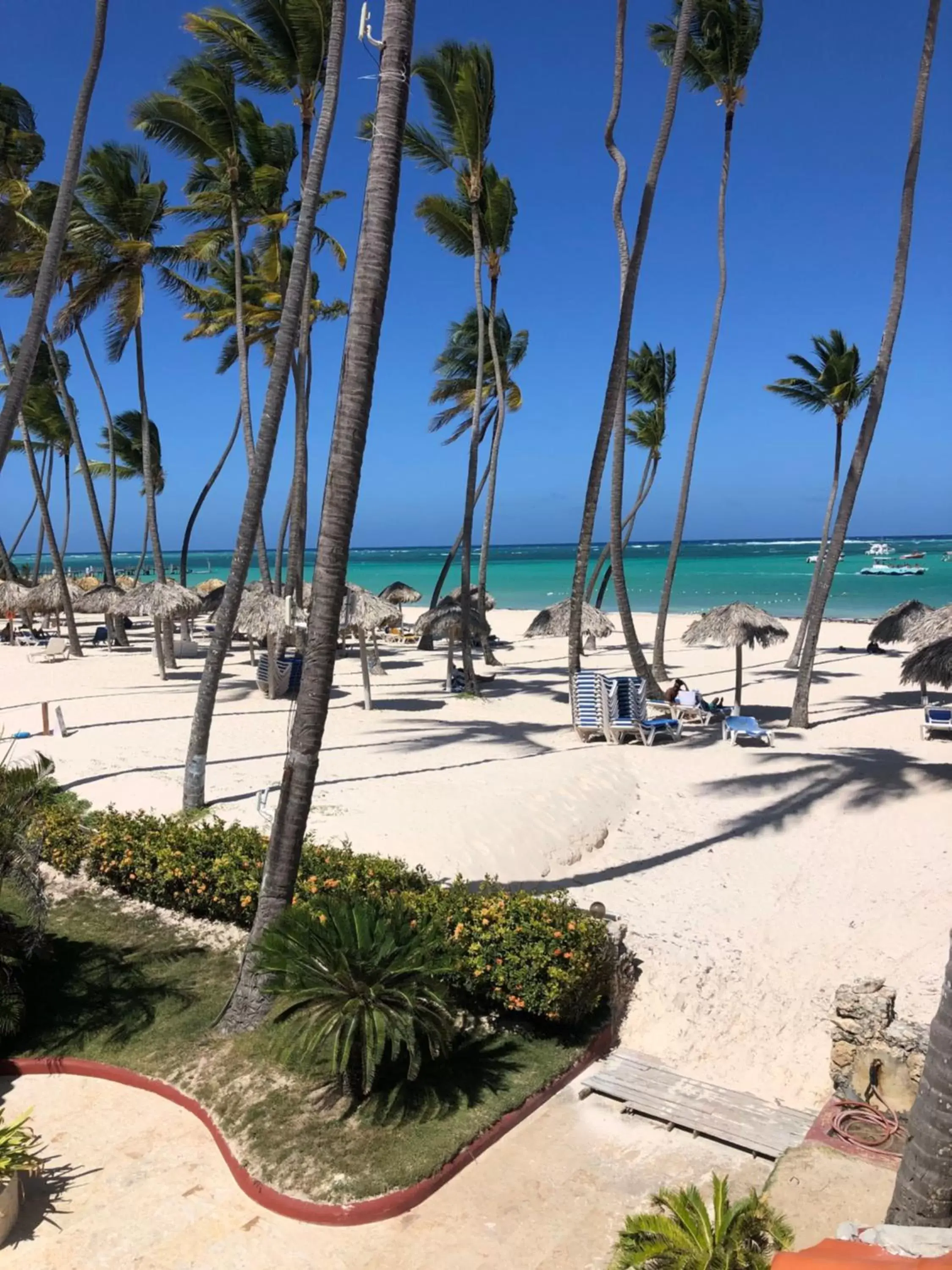 Beach in Los Corales Luxury Villas Beach Club and Spa