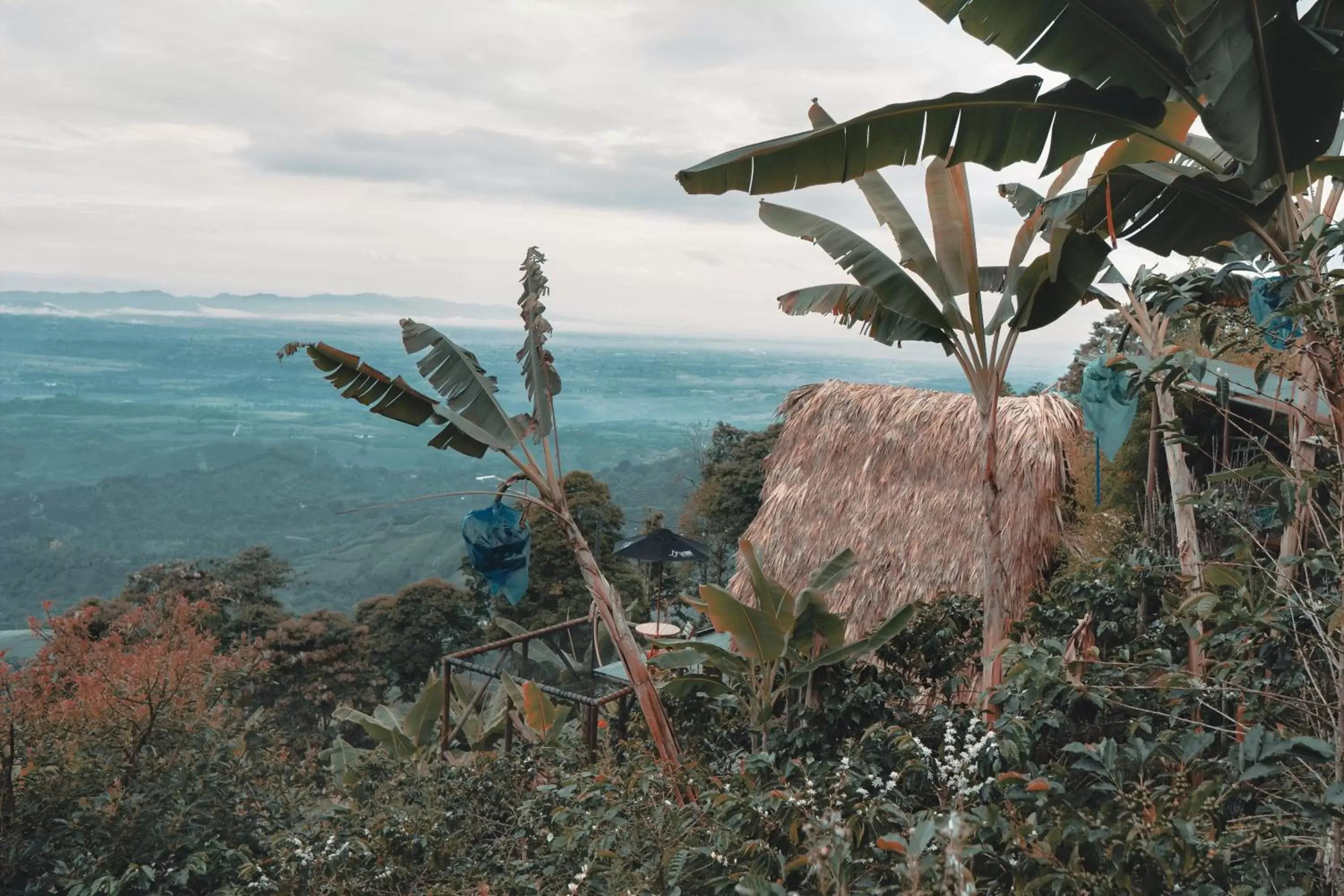 King Suite with Spa Bath in La Cima Eco Hotel King Suite with Spa Bath in La Cima Eco Hotel
