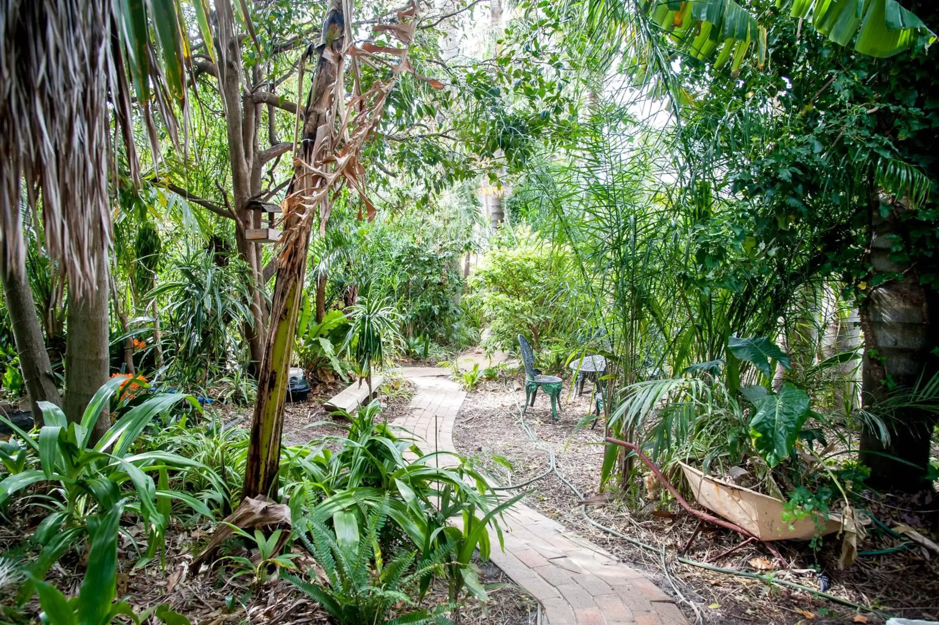 Garden in Oasis Inn Ulladulla