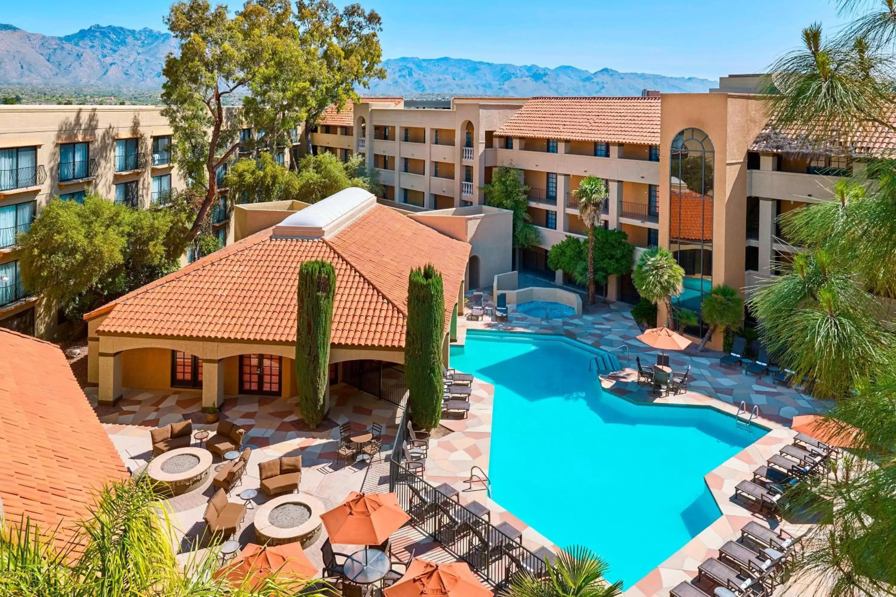 Area and facilities, Pool View in Sheraton Tucson Hotel & Suites