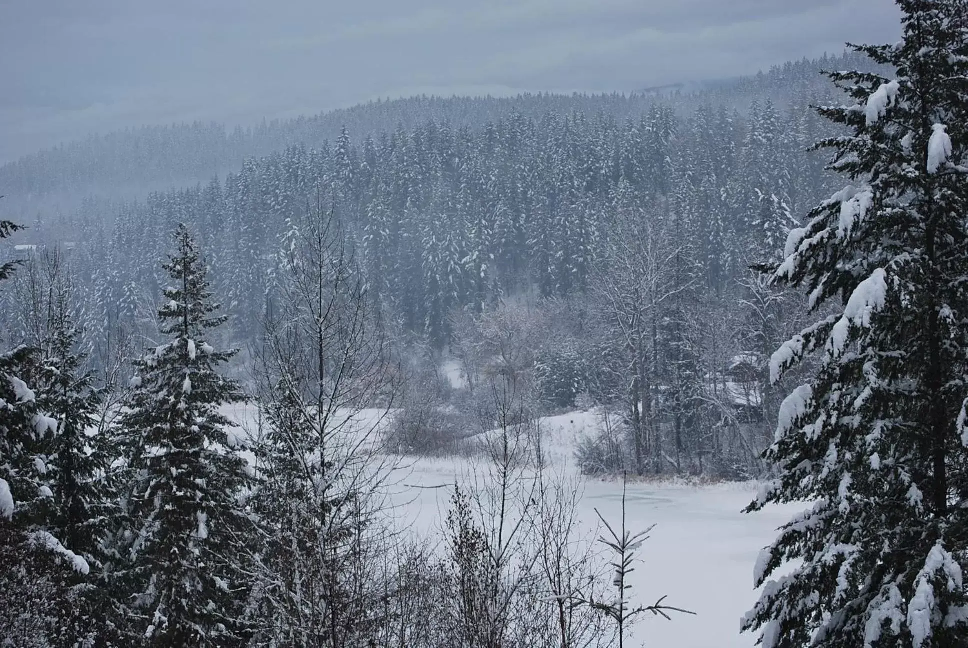 Natural landscape, Winter in Hotel Civilia Lakeside by Civilia Golf Retreat