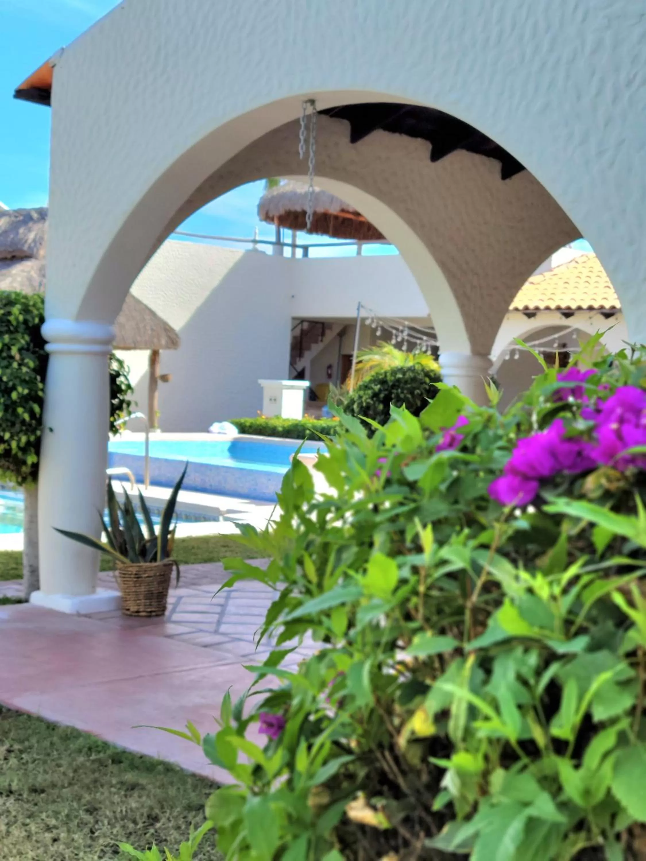 Garden view in Casa Magdalena