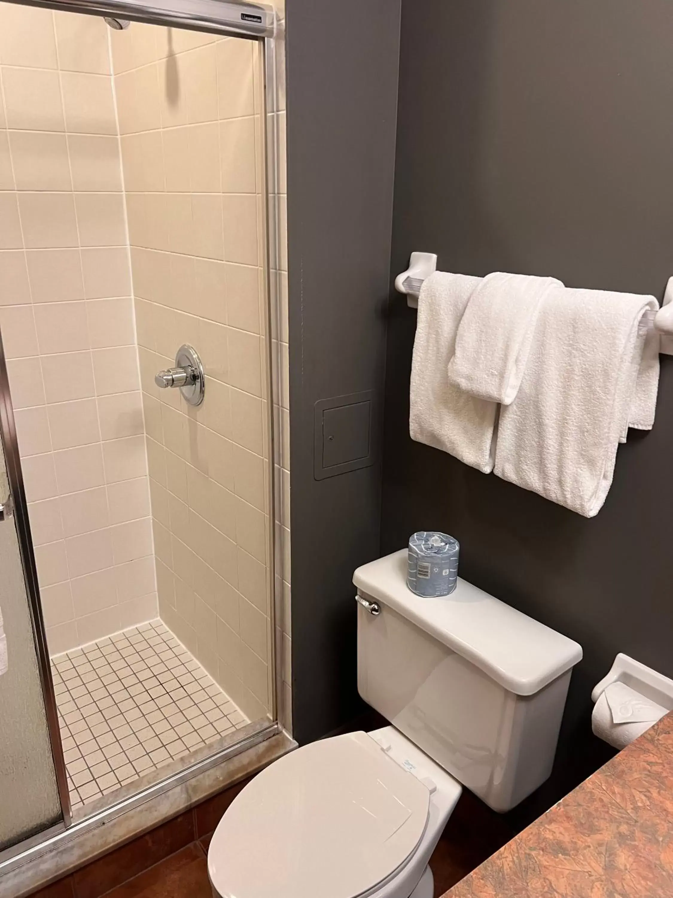 Bathroom in Le Grand Lodge Mont Tremblant