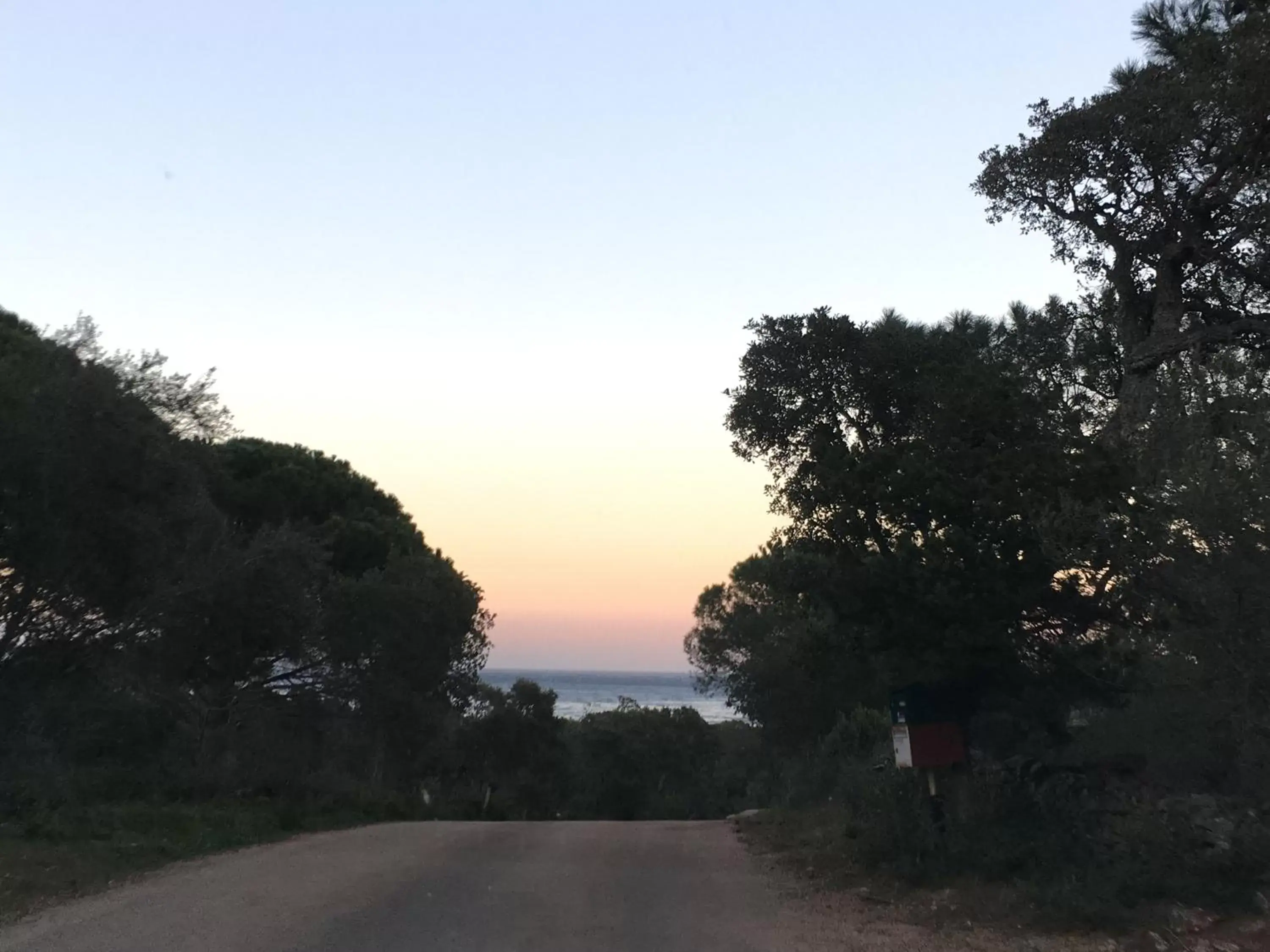 Natural landscape in Restaurant - Chambres d'Hôtes Terra Bella Lecci