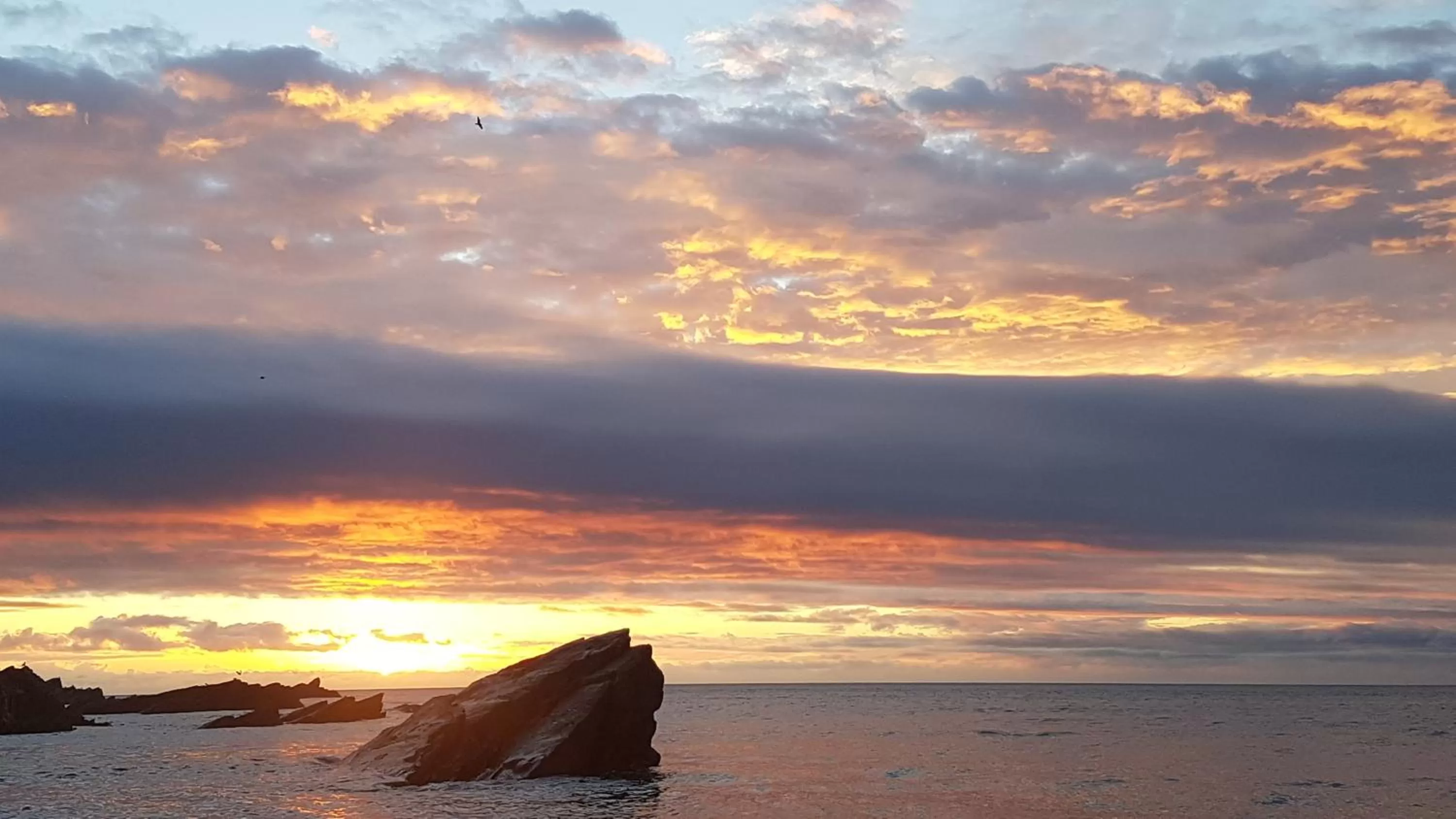 Beach in Rocky Cove Bed and Breakfast