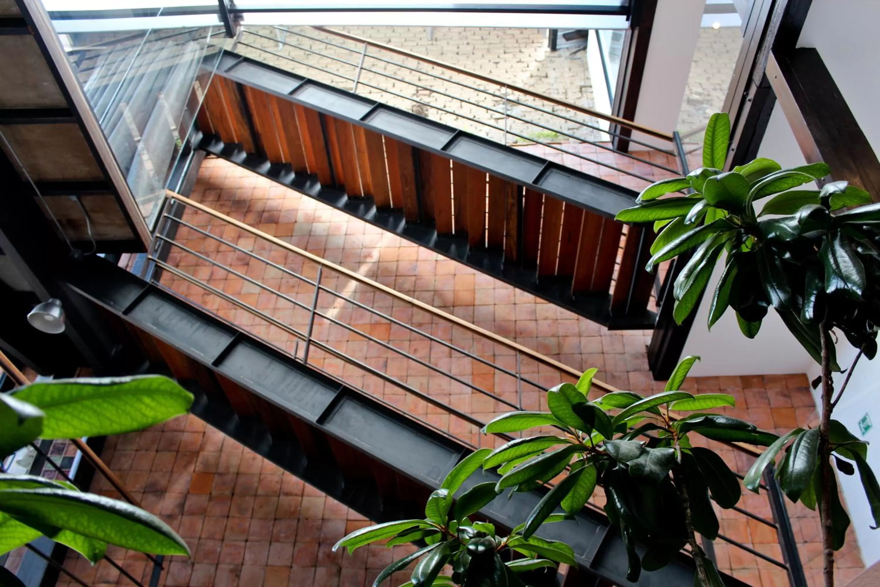 Balcony/Terrace in Hotel Casa Gardenia
