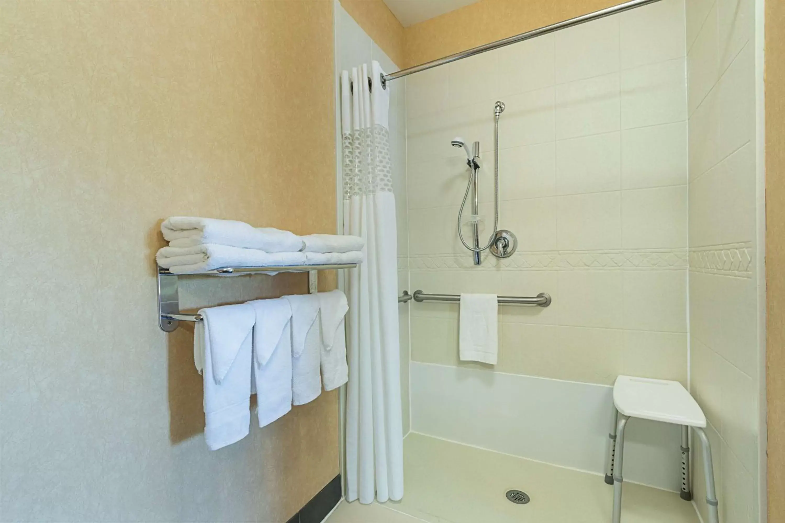 Bathroom in Hampton Inn and Suites Indianapolis/Brownsburg