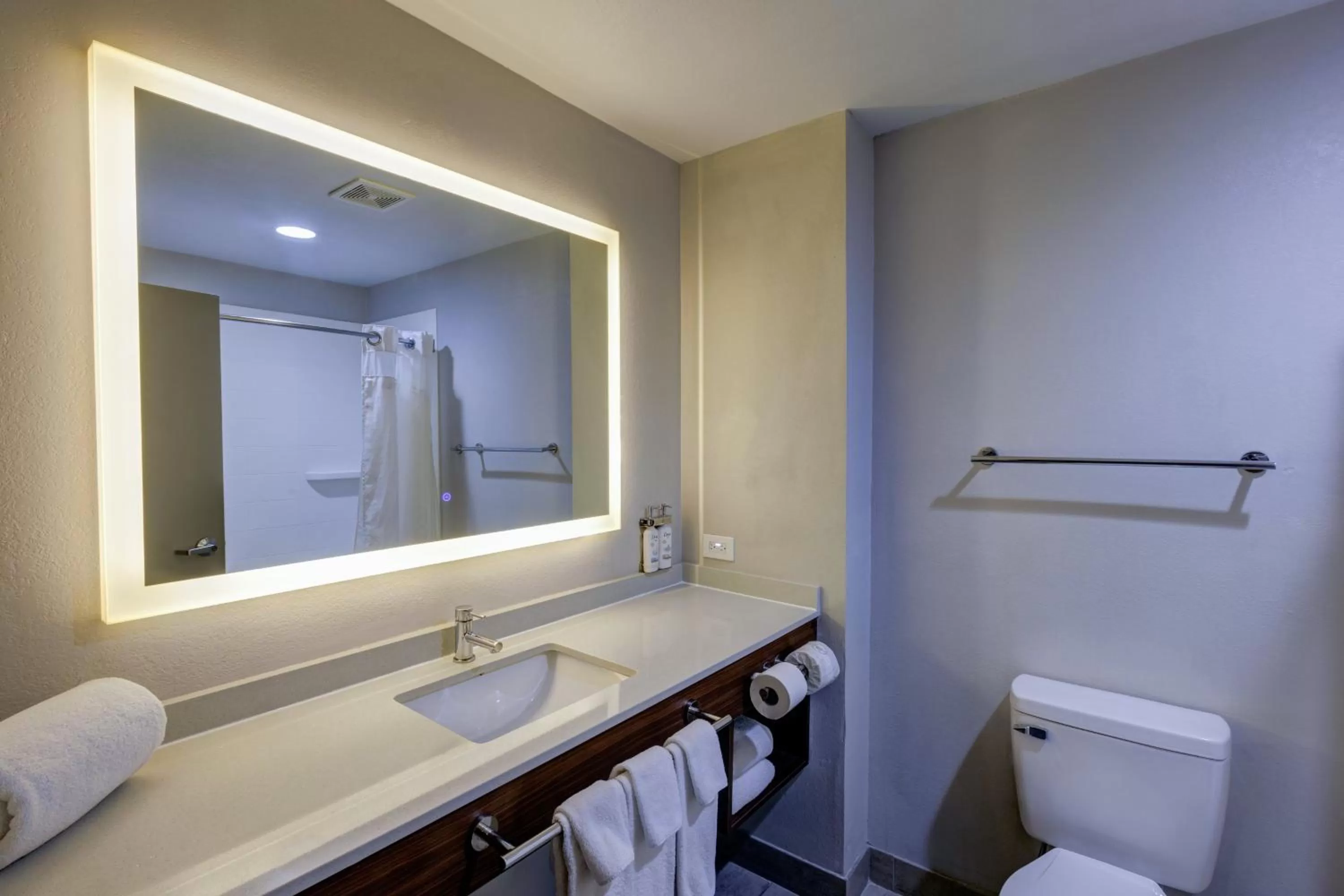 Bathroom in Holiday Inn Express & Suites Shelbyville Indianapolis by IHG