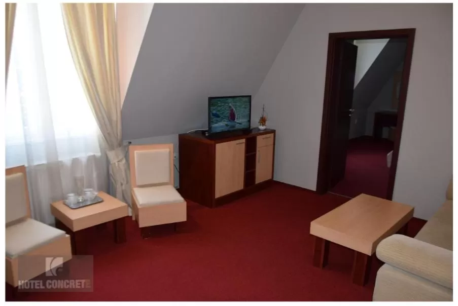 TV and multimedia in Hotel Concrete