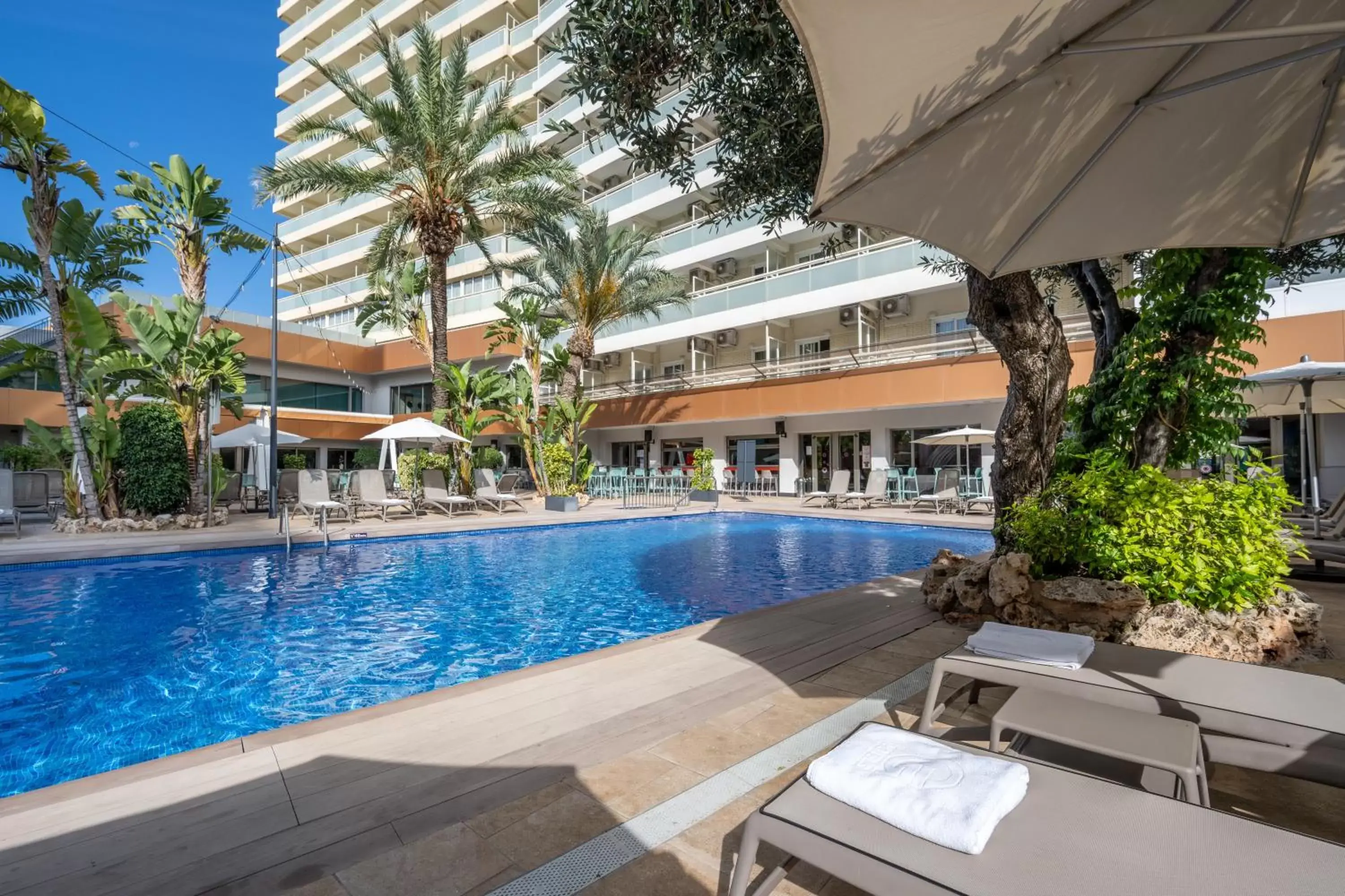 Swimming Pool in Benidorm Plaza