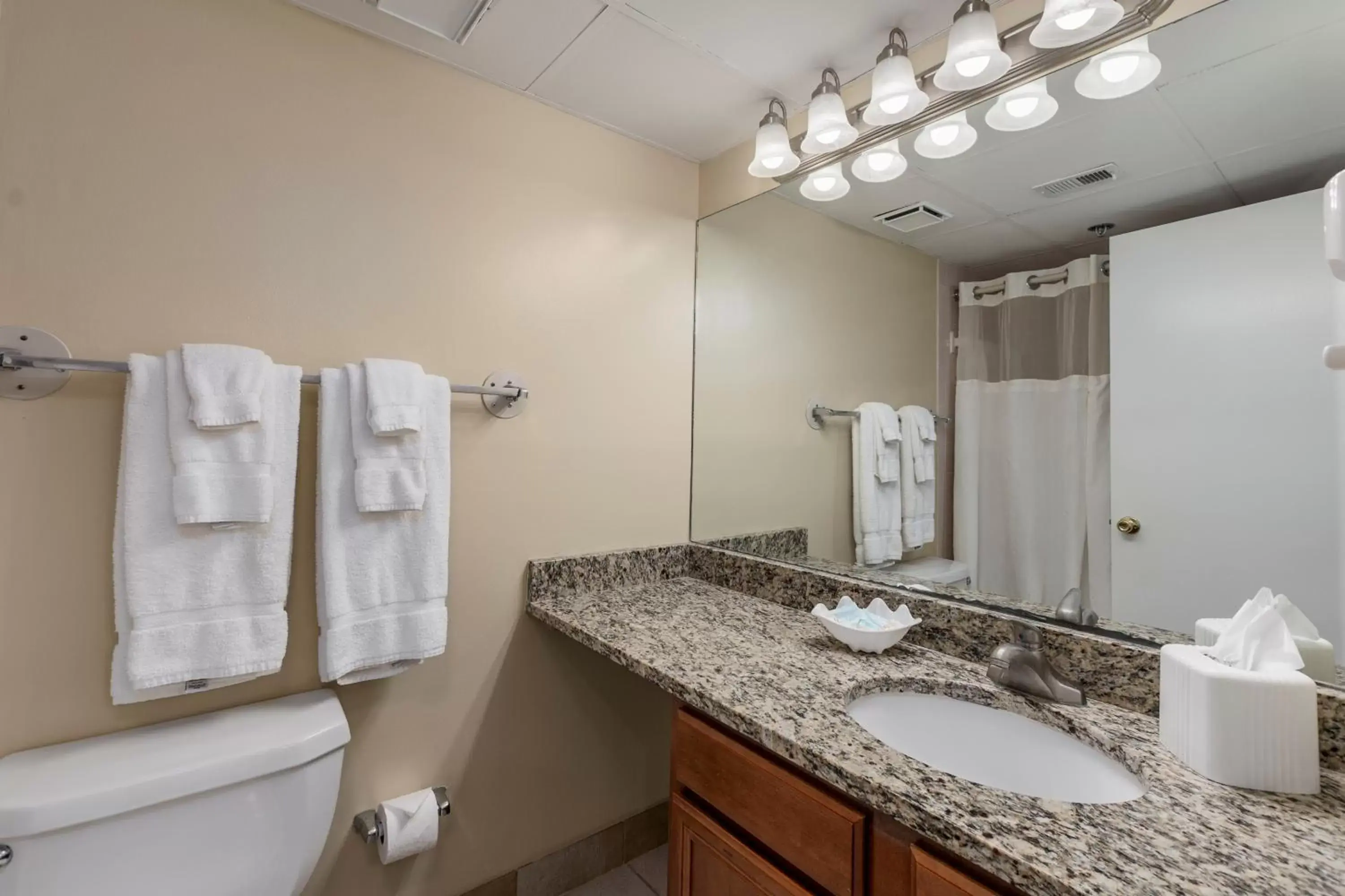 Shower, Bathroom in Princess Royale Oceanfront Resort