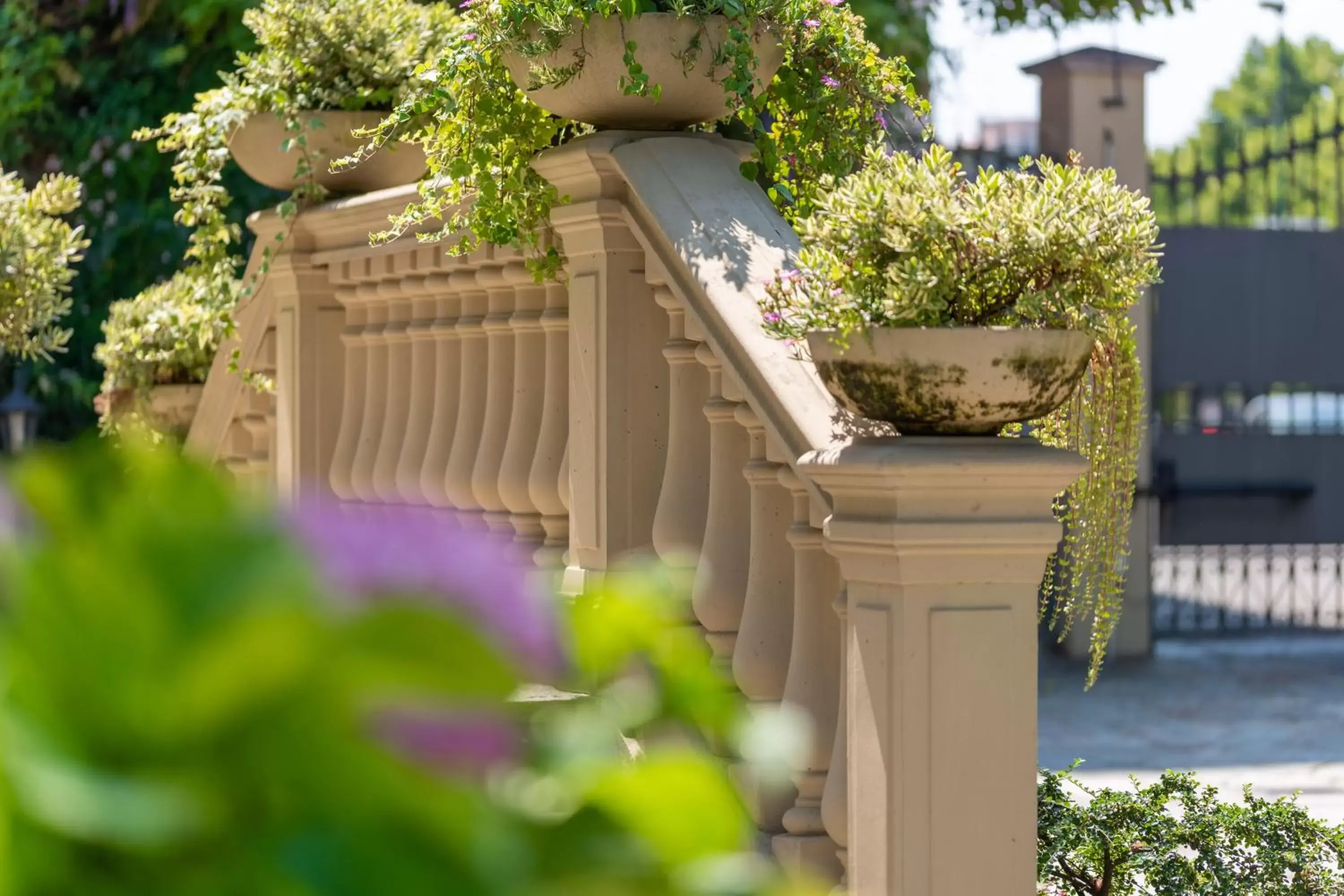 Garden in Villa Mery