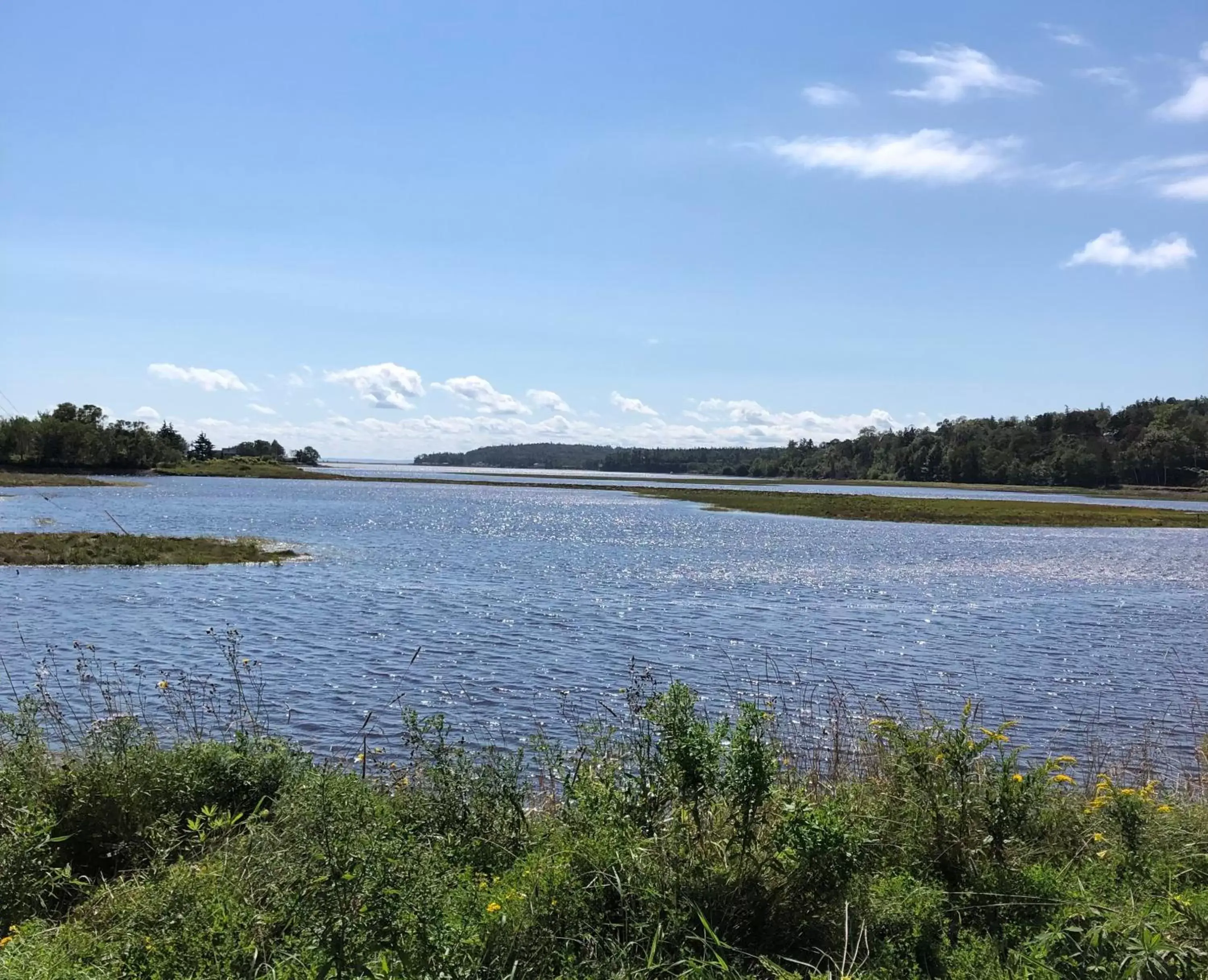 Natural landscape in Pleasant Street Inn