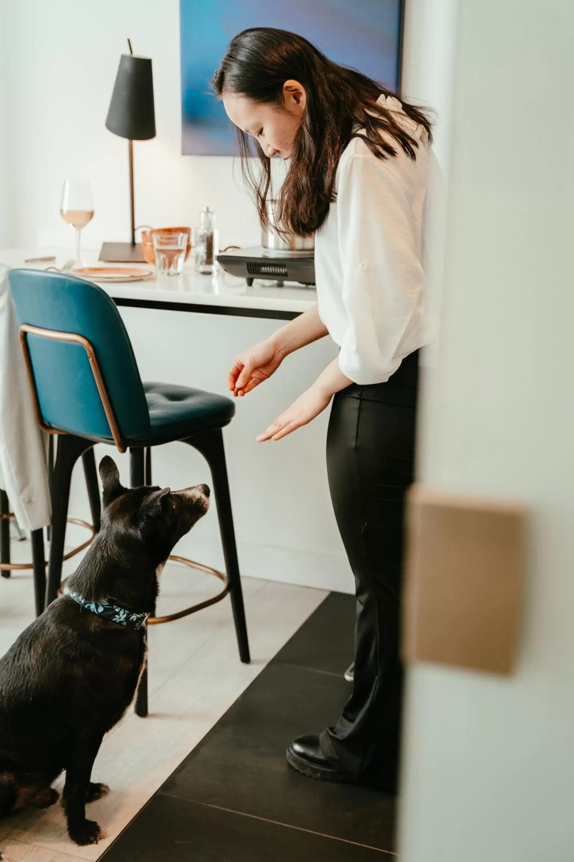 Pets in Residence Inn Ghent by Marriott