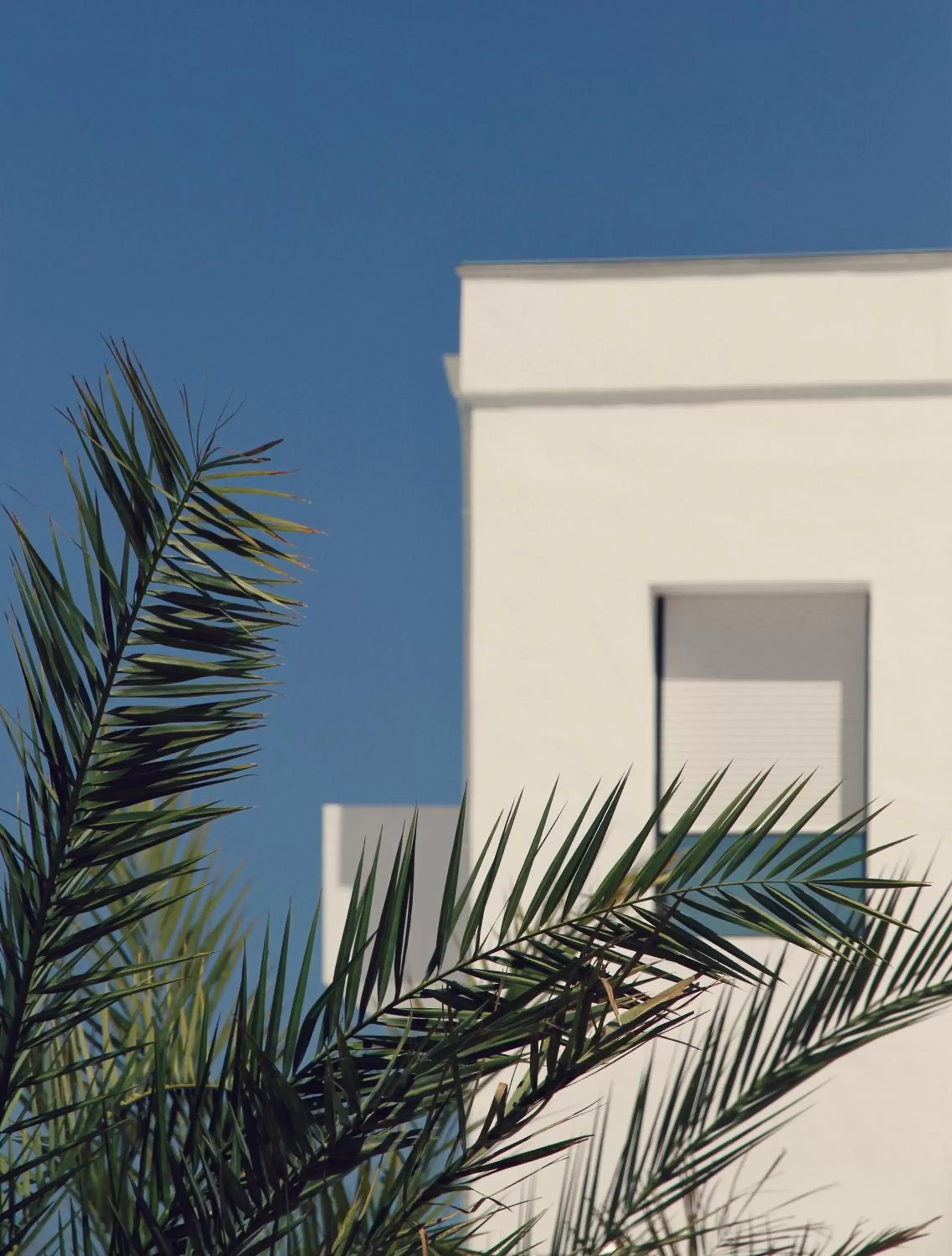 View (from property/room), Property Building in Le Grand Hotel de la Plage