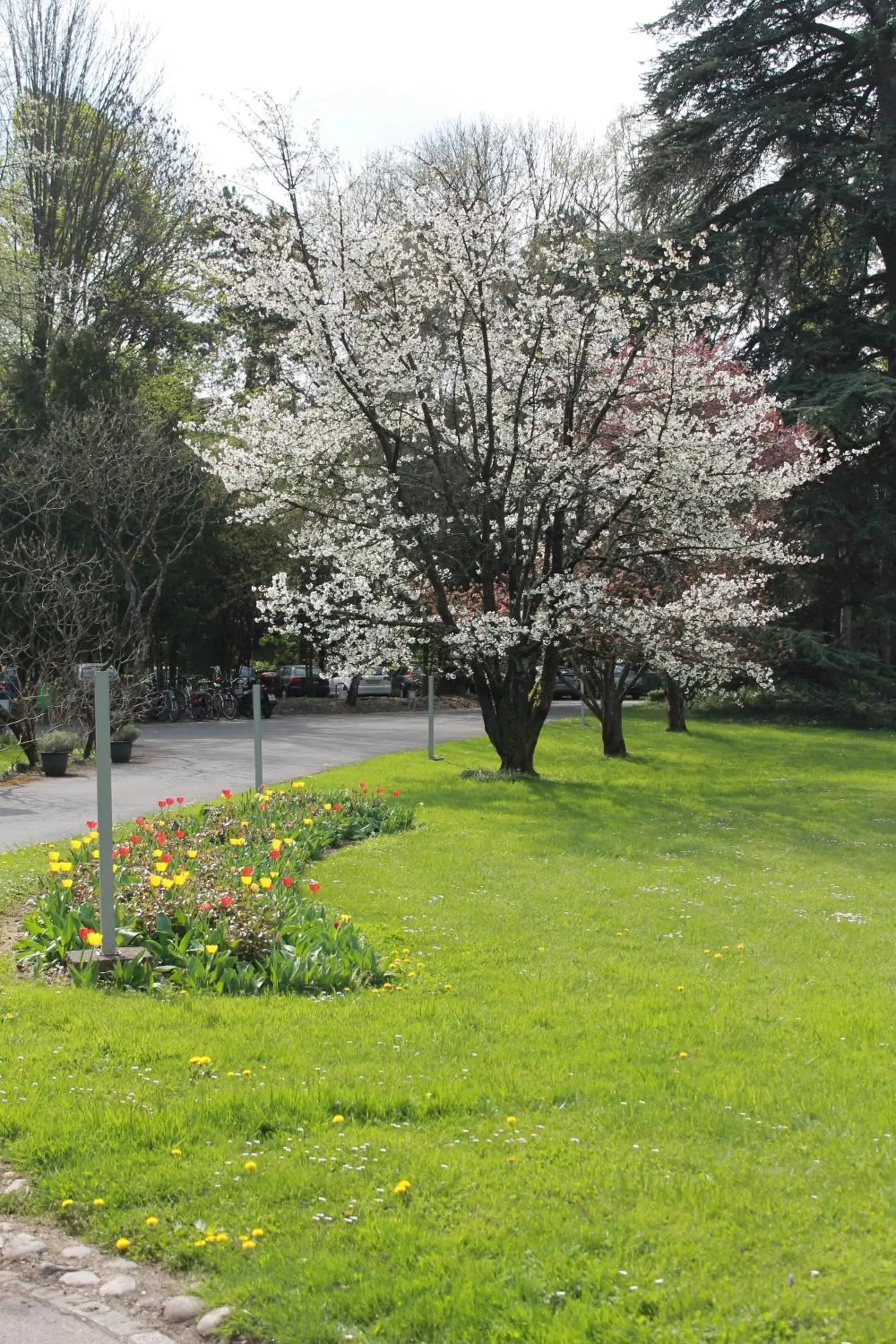 Garden in Le Cénacle