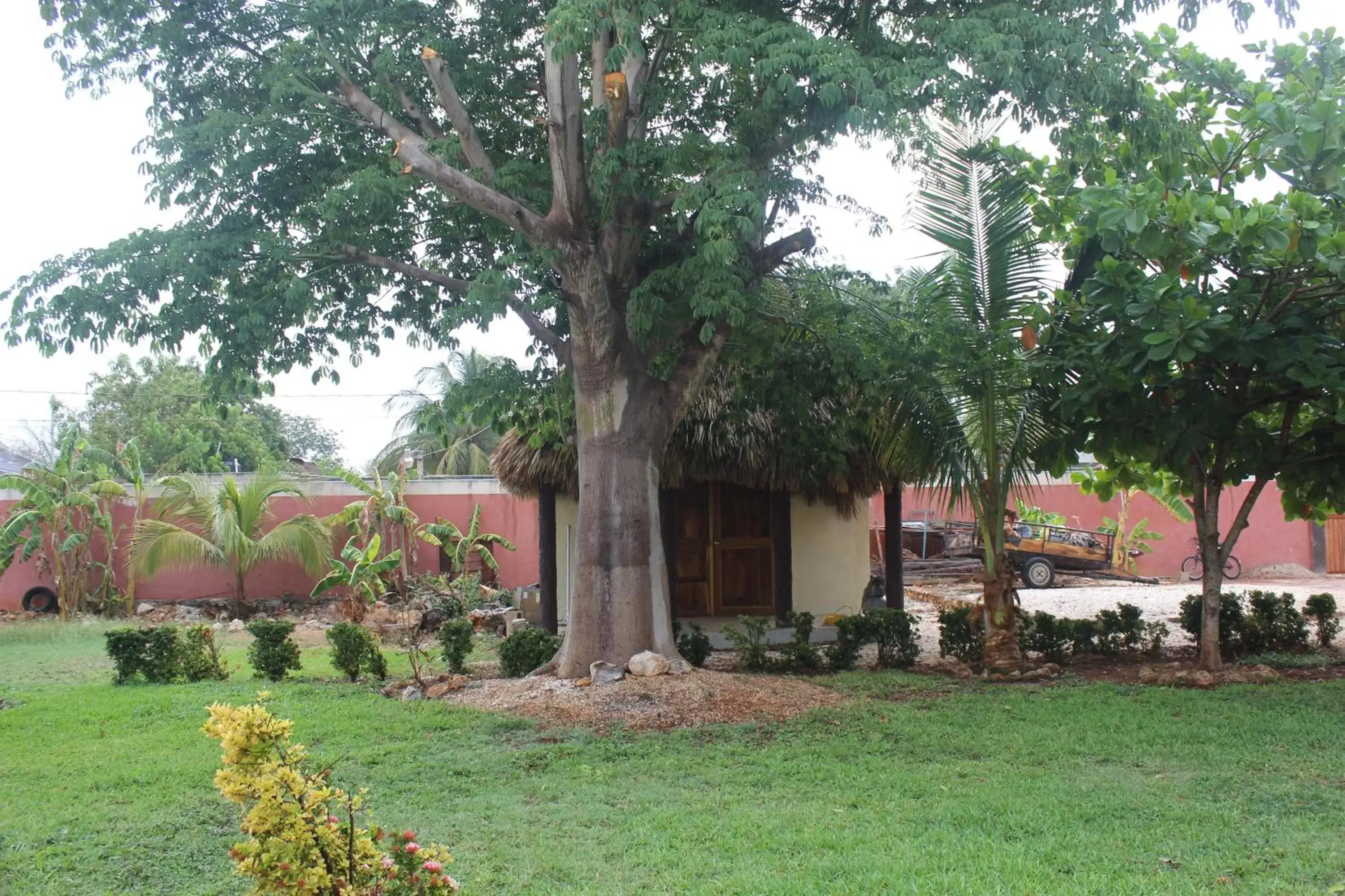 Property building, Garden in Mangrove King Fishing Lodge