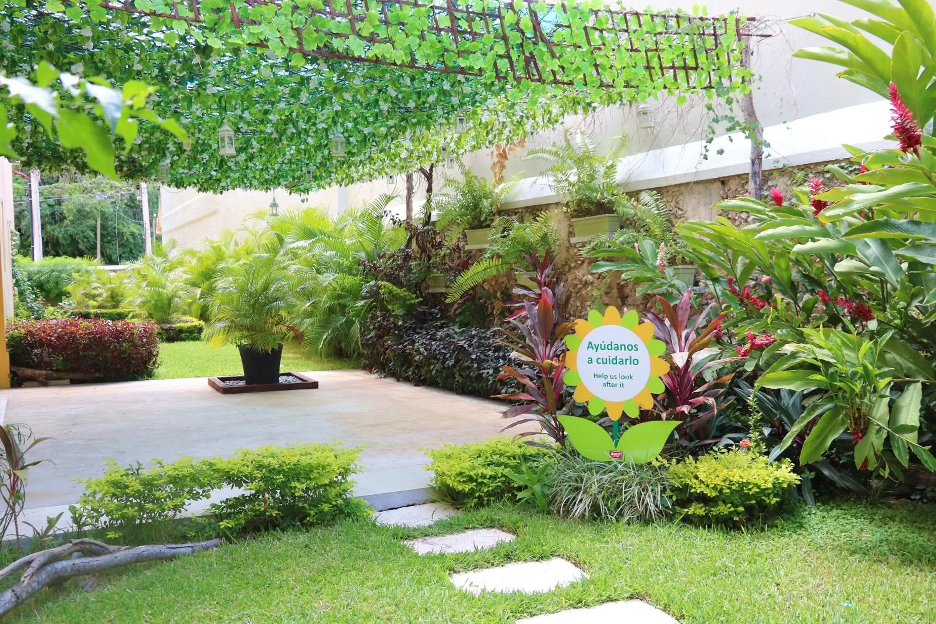 Garden in Hotel Zar Merida