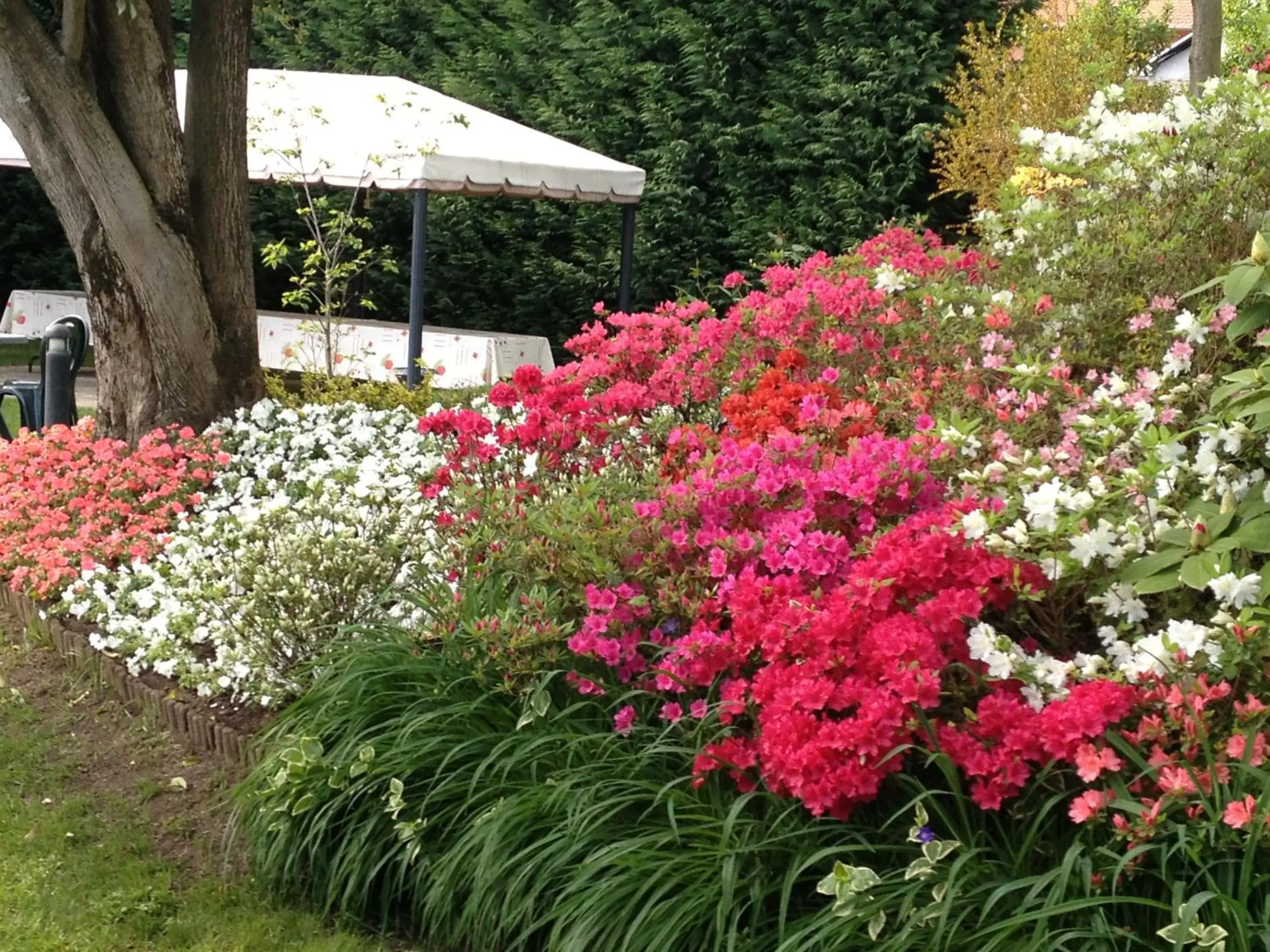 Garden in Hotel Il Vigneto