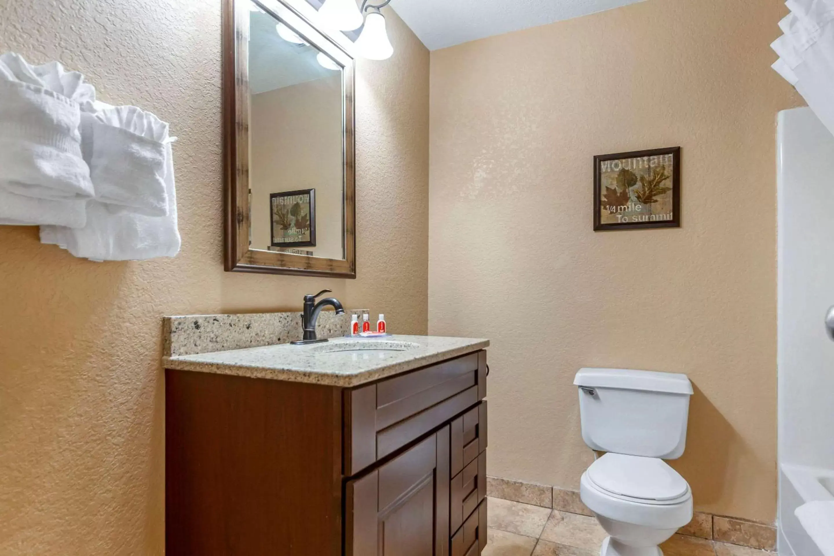 Bathroom in Econo Lodge Black Hills