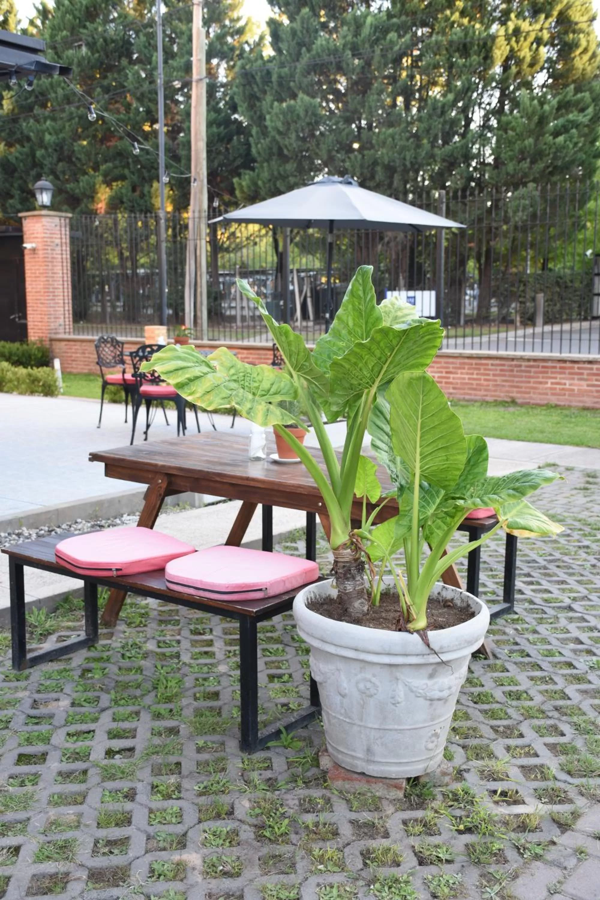 Patio in Casa Campus Pilar Suites