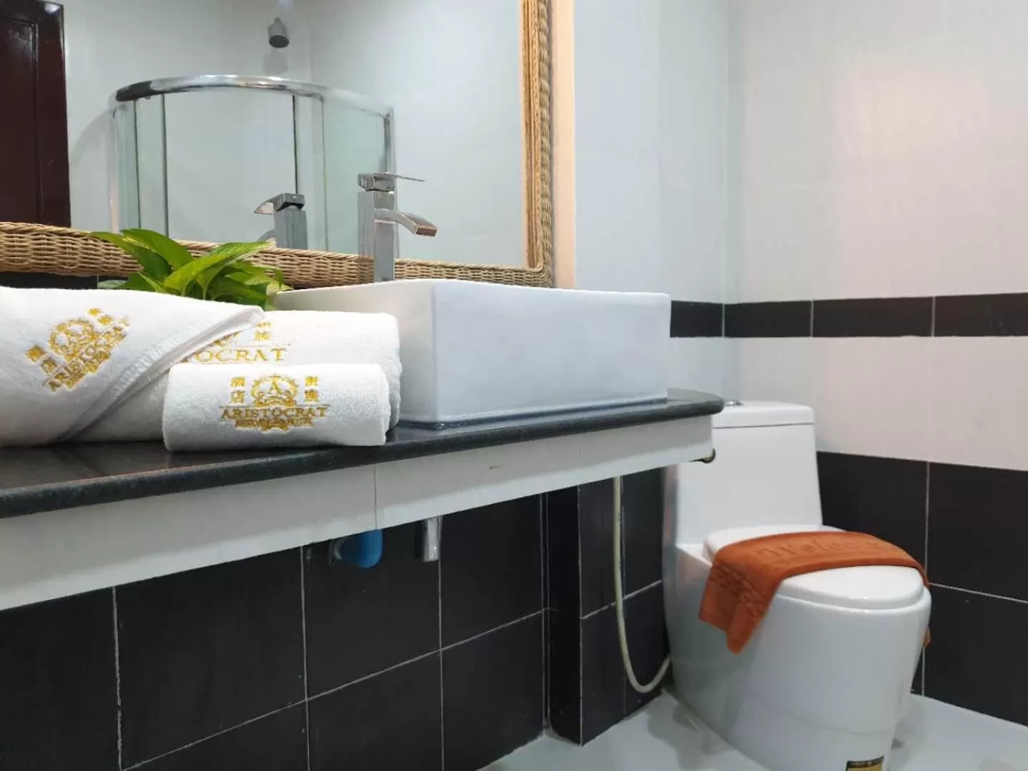 Shower in Aristocrat Residence & Hotel